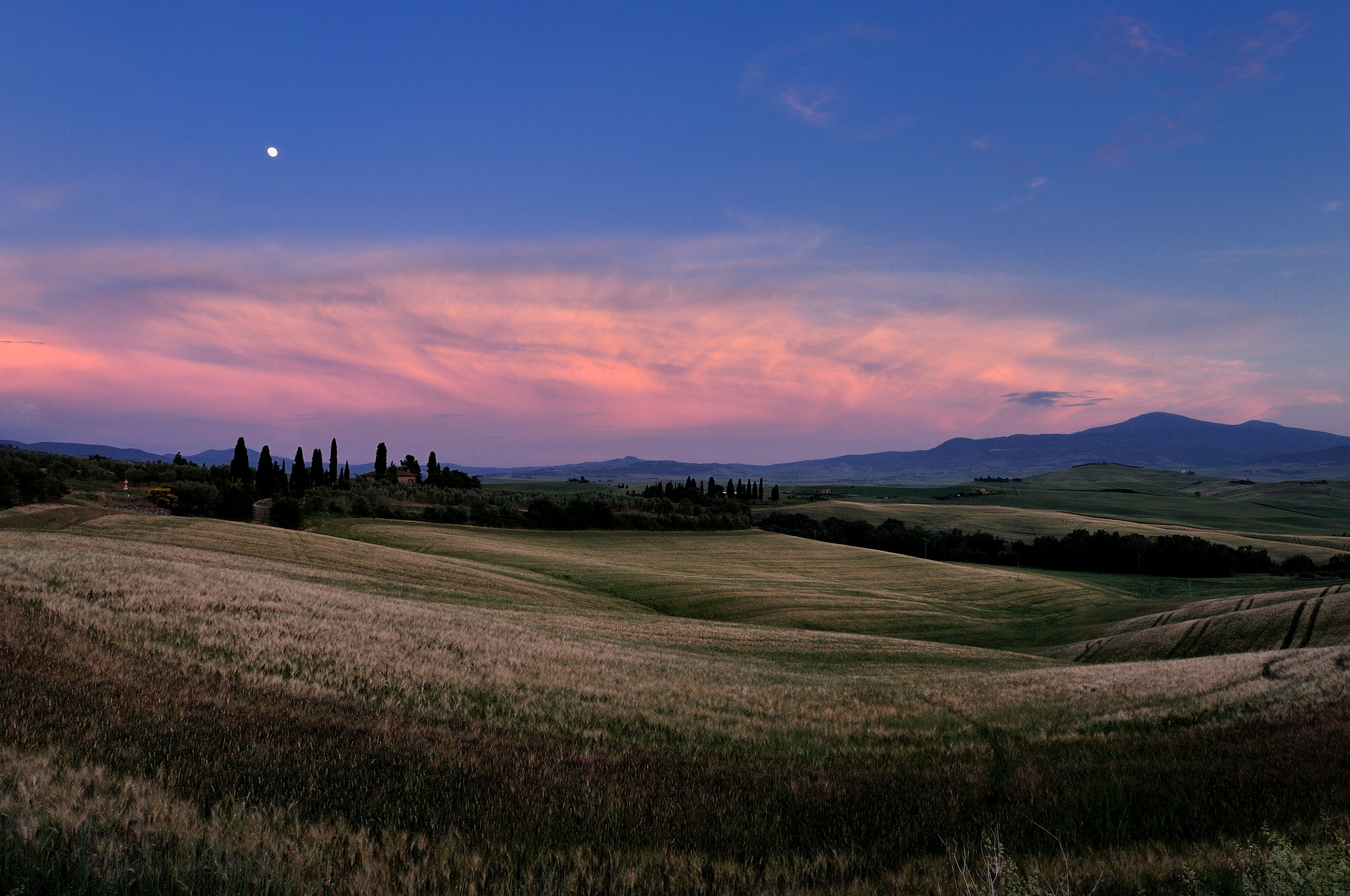 Nikon AF-S Nikkor 14-24mm F2.8G ED sample photo. Purple sunset in tuscany photography
