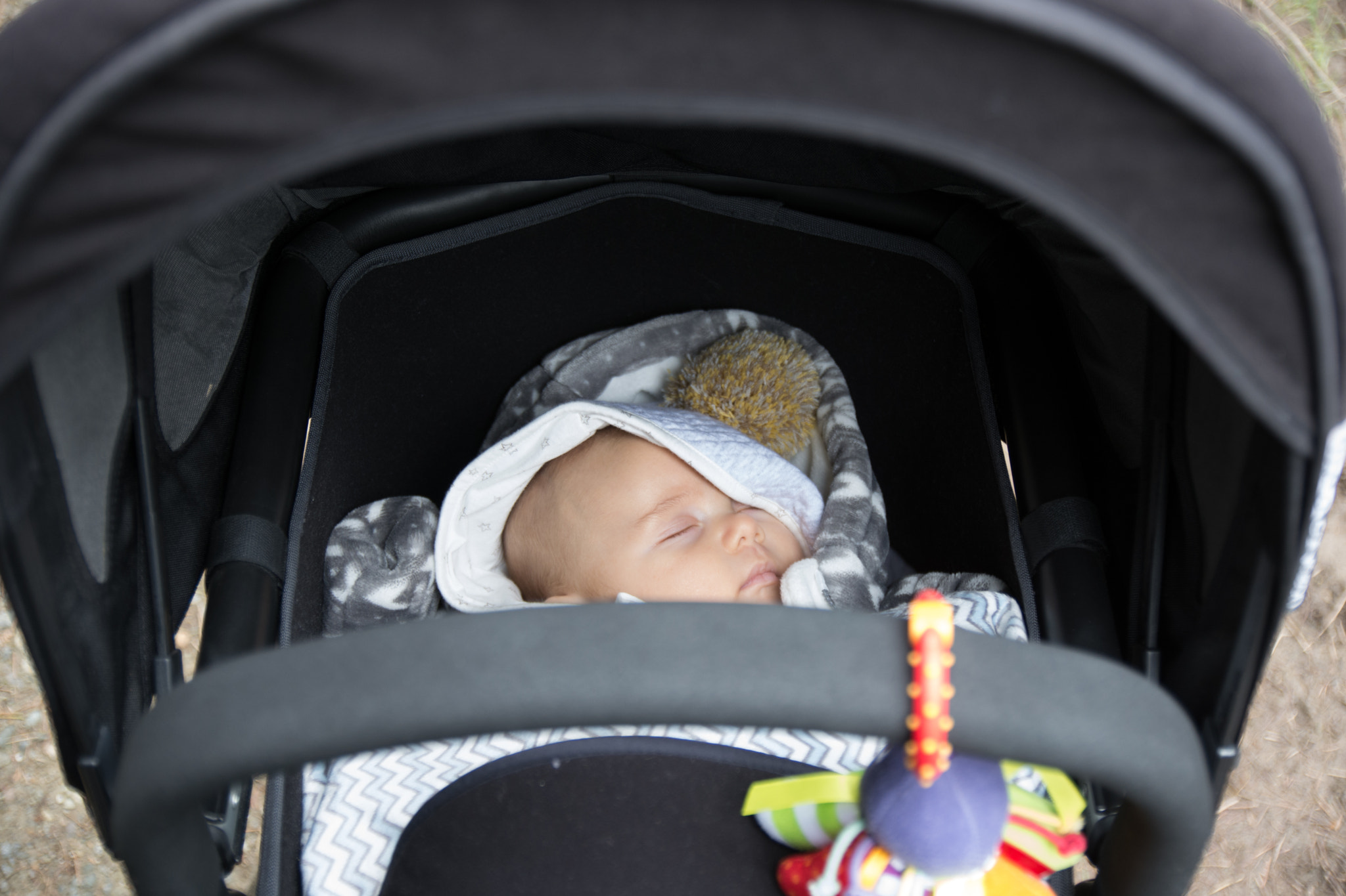 Nikon D7200 sample photo. Aaa photography