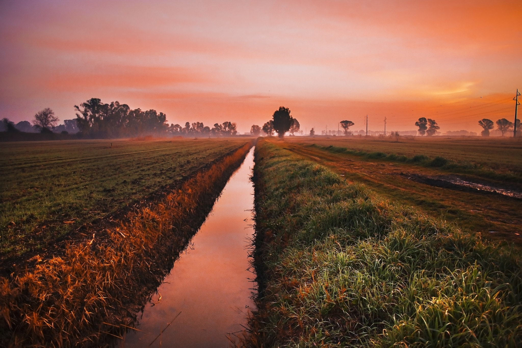 Canon EOS-1Ds Mark II + Canon EF 24mm F2.8 sample photo. Alba su maccarese photography