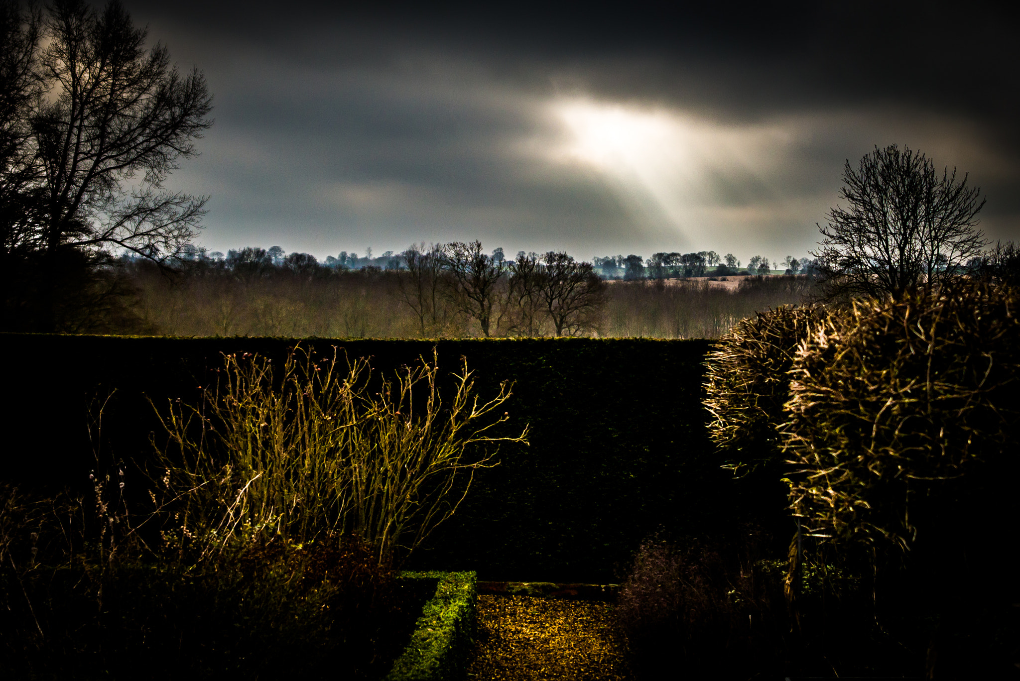 Canon EF 400mm f/2.8L sample photo. Country garden photography