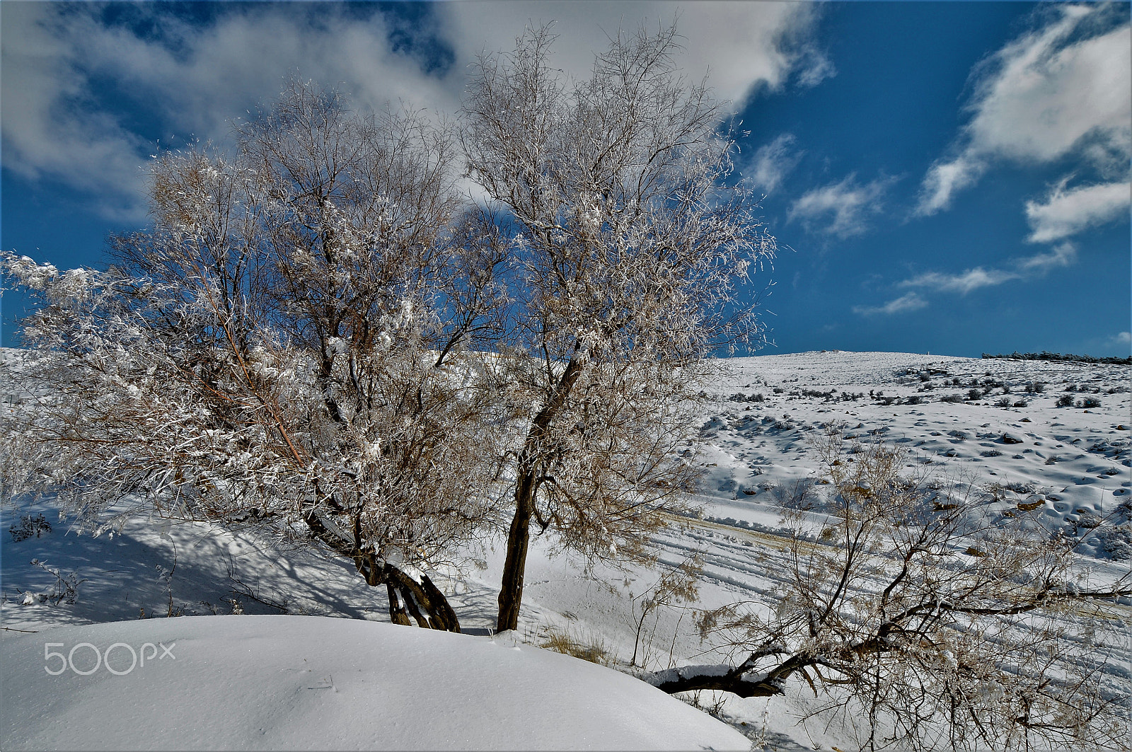 Nikon D300S sample photo. Abstracto blanco photography