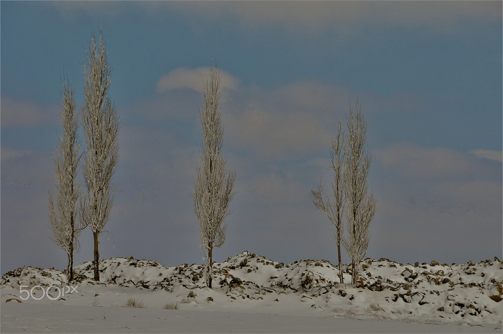 Nikon D300S sample photo. Abstracto en blanco photography