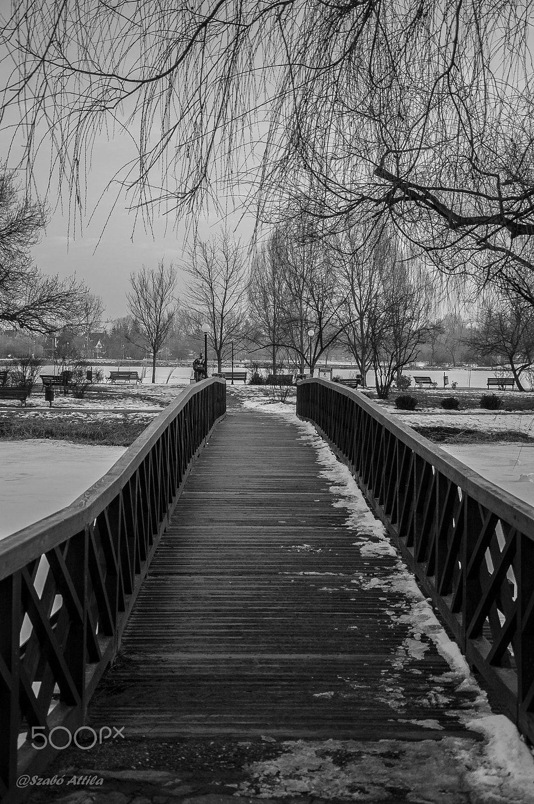 Nikon D70s sample photo. Sóstó city bridge photography