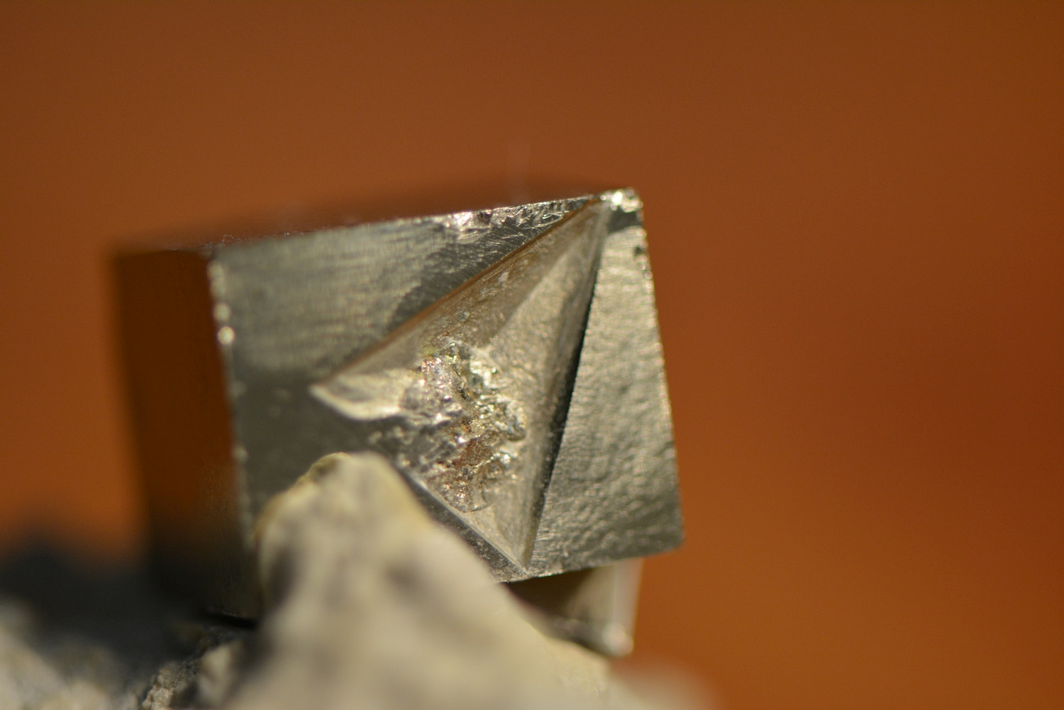 Nikon AF-S Micro-Nikkor 105mm F2.8G IF-ED VR sample photo. Pirita_006.jpg photography