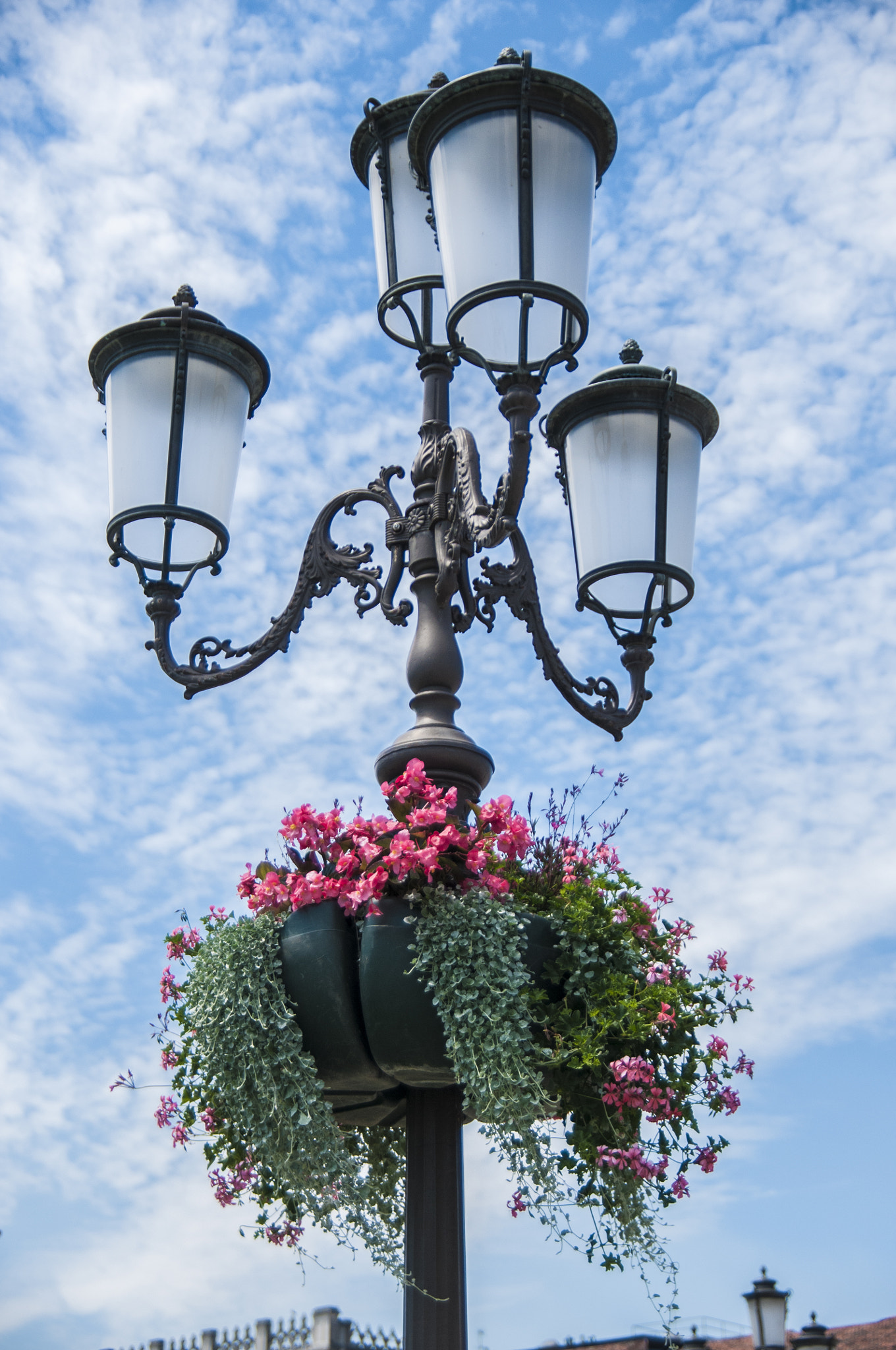 Nikon D300S sample photo. Flowers decoration photography