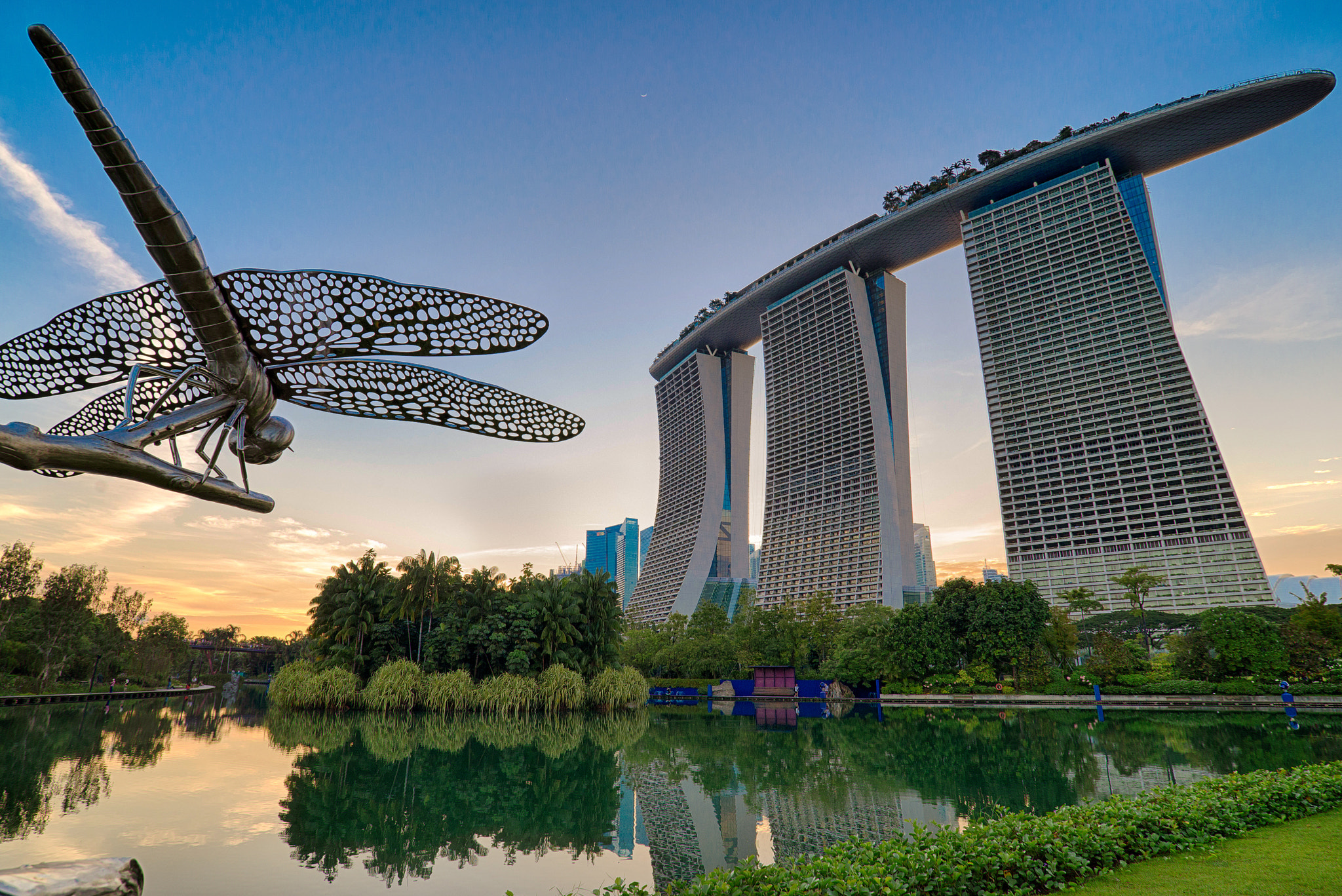 Nikon AF-S Nikkor 18-35mm F3.5-4.5G ED sample photo. Mbs dragonfly photography