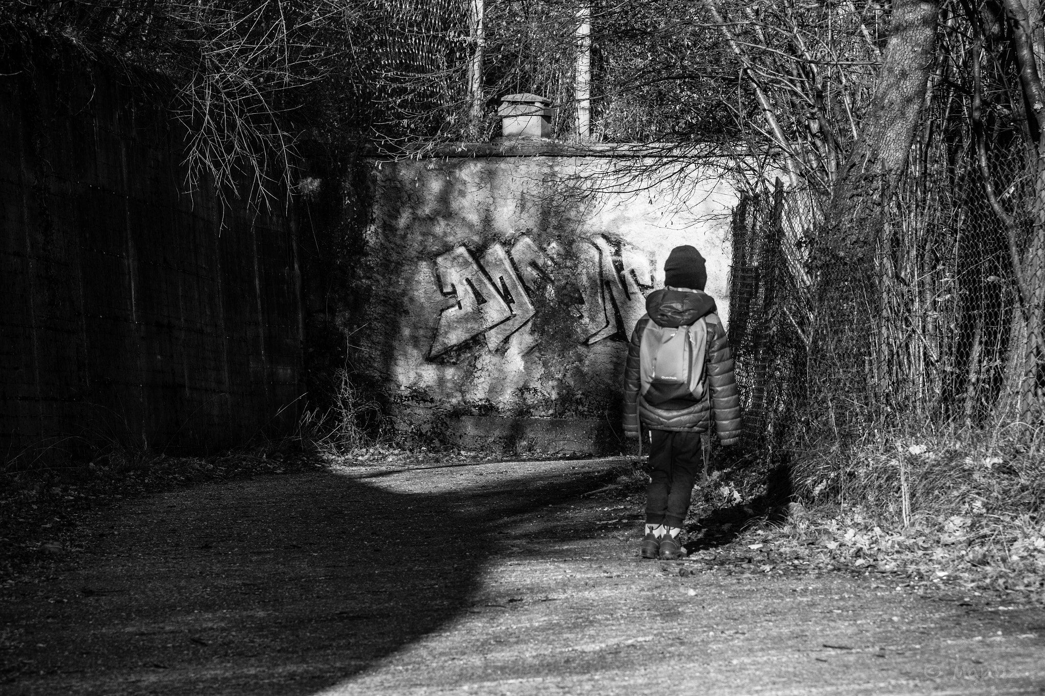 Canon EF-S 55-250mm F4-5.6 IS STM sample photo. Winter walking 2 b&w photography