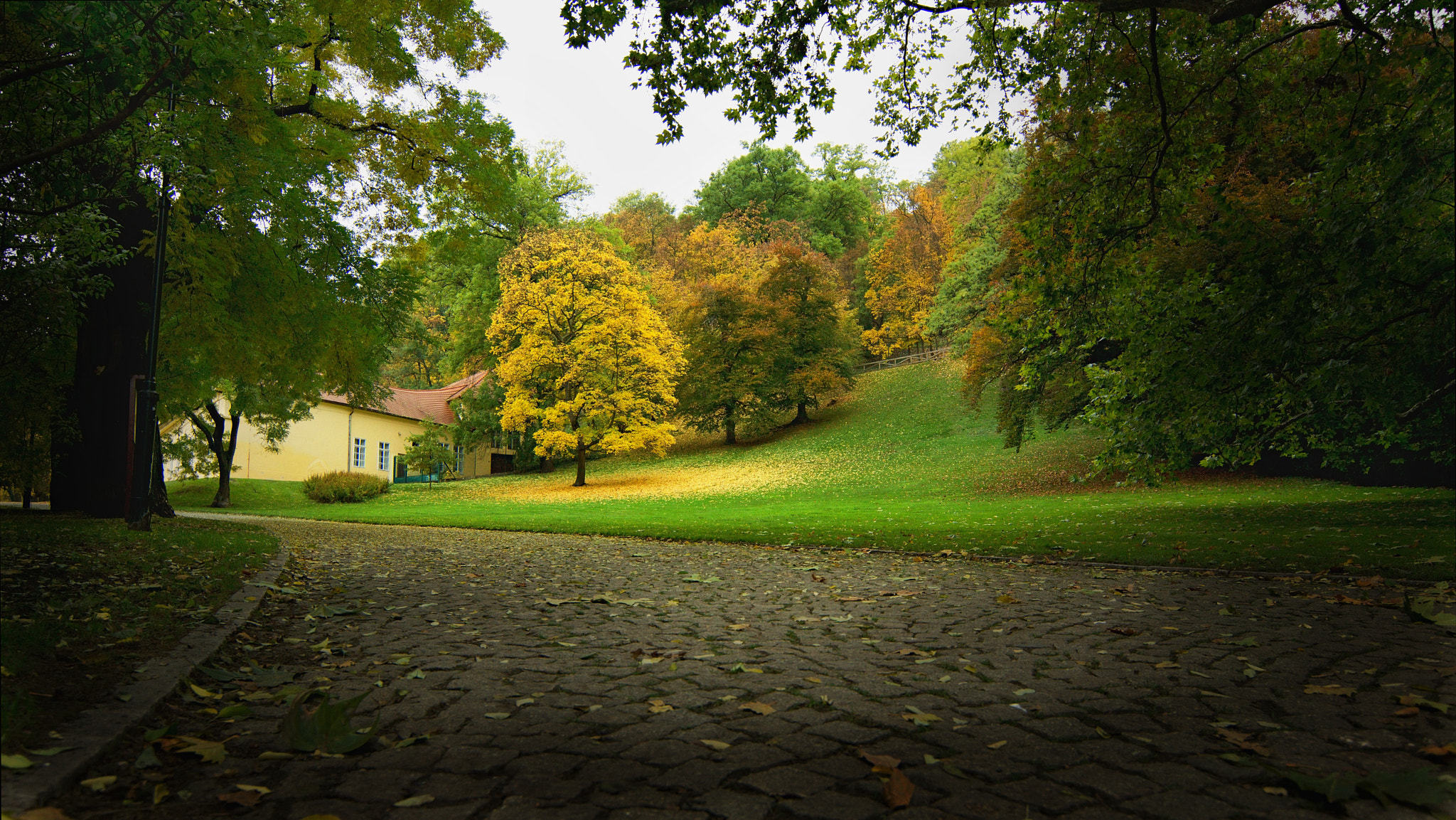 Sony SLT-A65 (SLT-A65V) + 20mm F2.8 sample photo. Prague - kinského garden photography