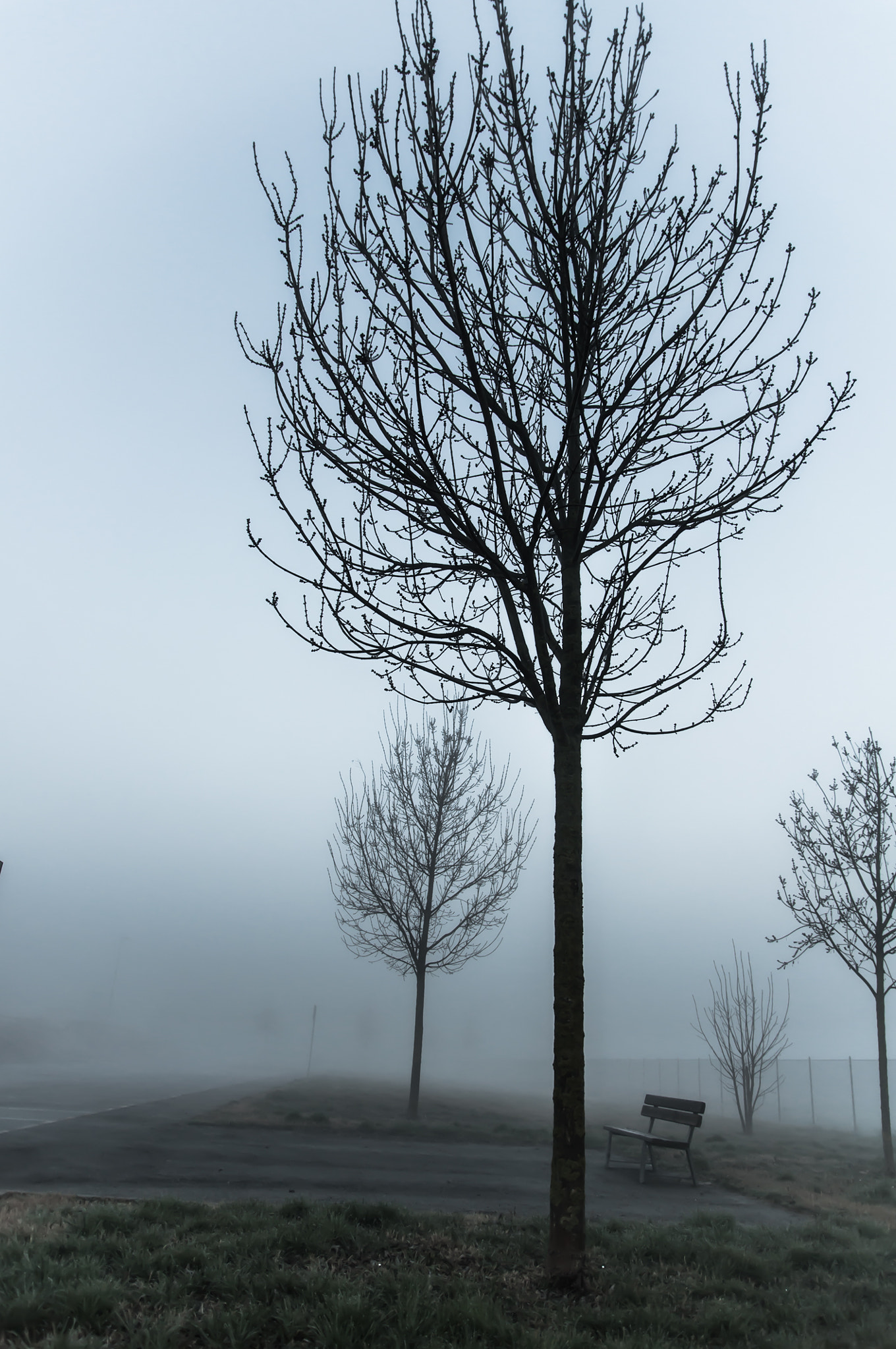Sigma 17-50mm F2.8 EX DC OS HSM sample photo. Fog photography