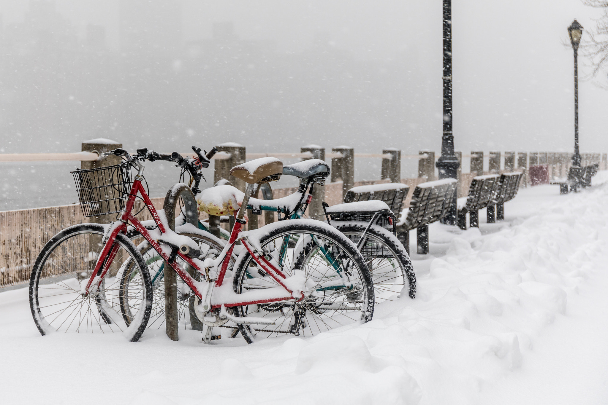 Canon EF 24-70mm F4L IS USM sample photo. Bicycle and snowstorm photography