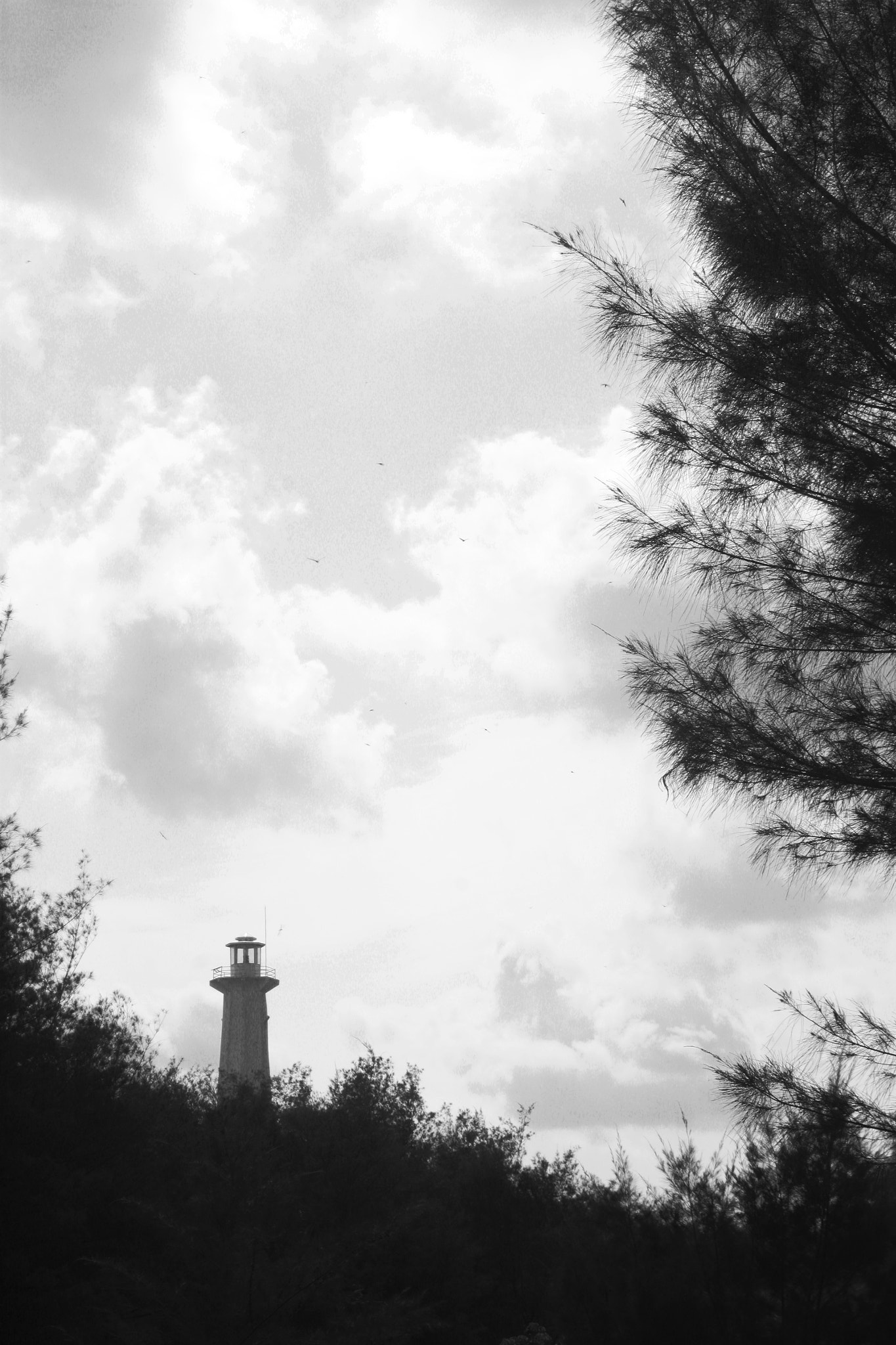 Canon EOS 500D (EOS Rebel T1i / EOS Kiss X3) sample photo. Lighthouse photography
