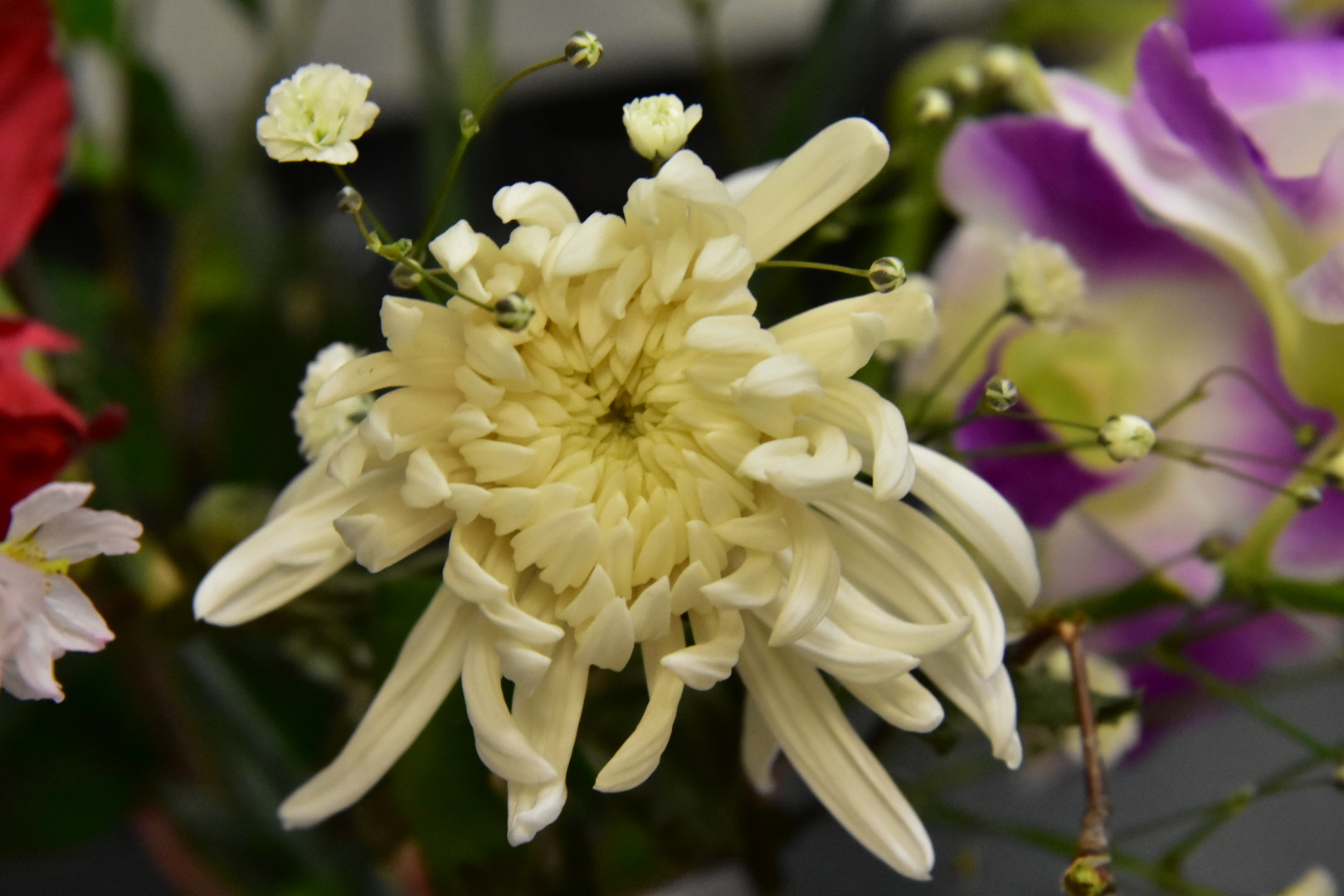 Nikon D7200 sample photo