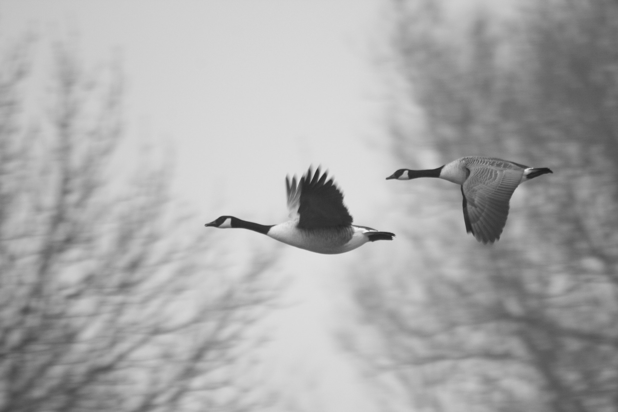 Sigma 150-500mm F5-6.3 DG OS HSM sample photo. Img photography