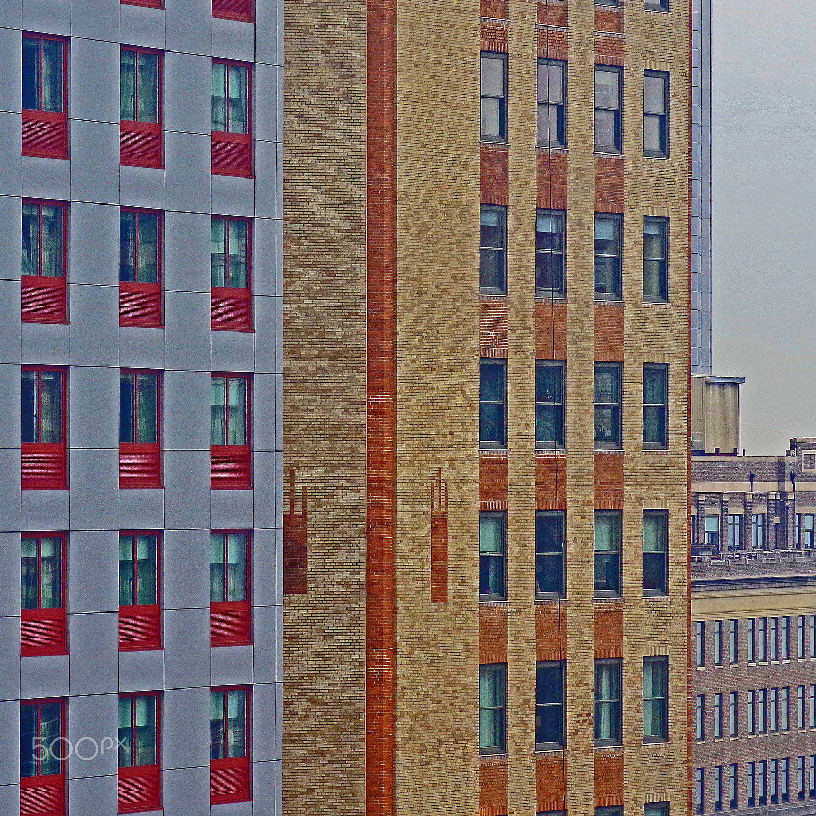 Pentax smc D-FA 100mm F2.8 Macro WR sample photo. Vertical nyc photography