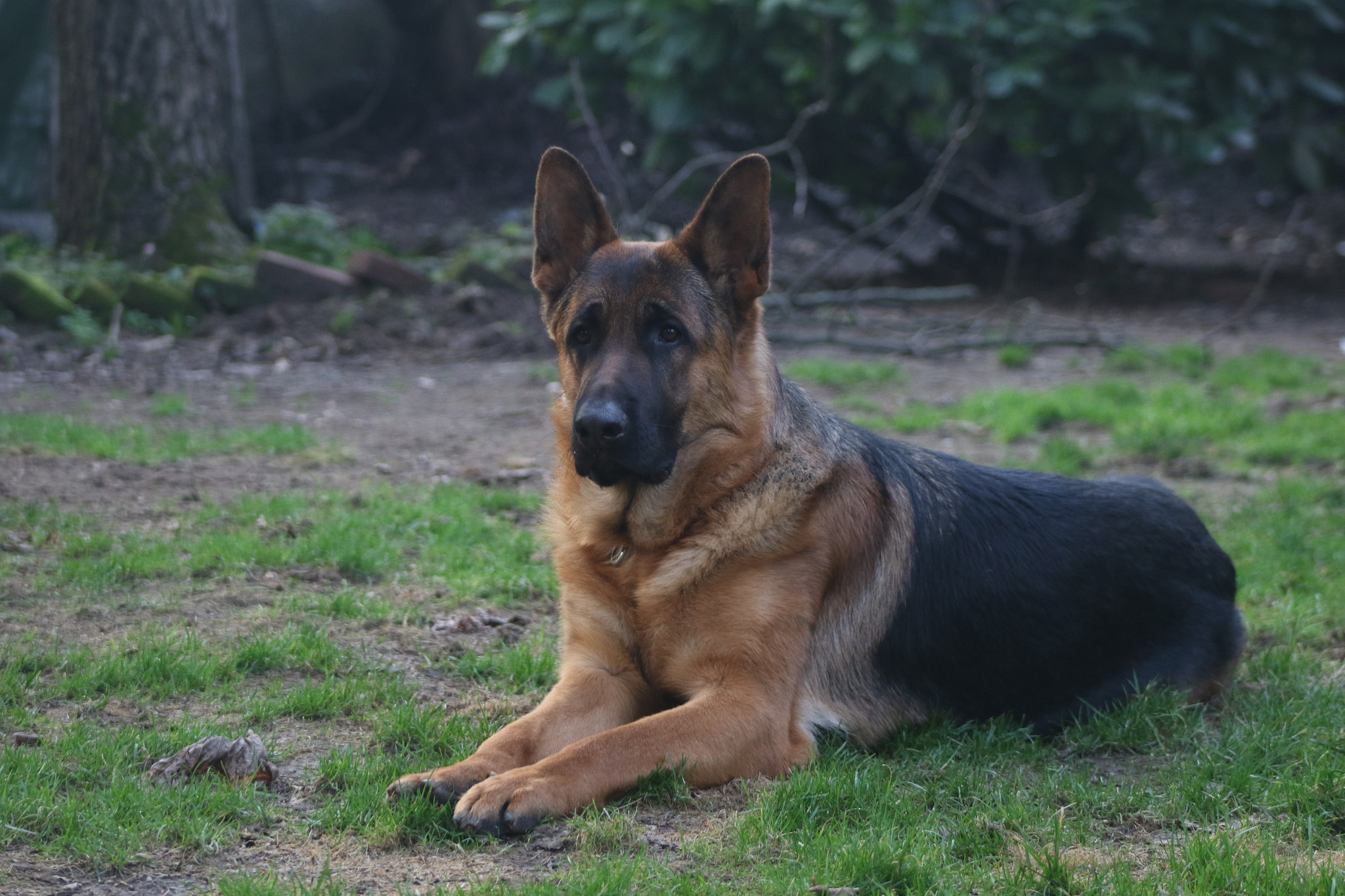 Canon EF 75-300mm f/4-5.6 USM sample photo. Hey... respect !! photography