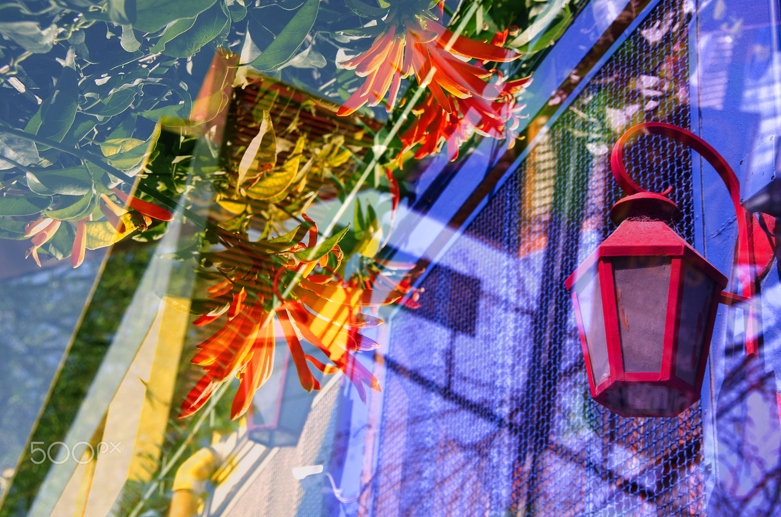 Pentax K-5 sample photo. Los colores de la boca photography
