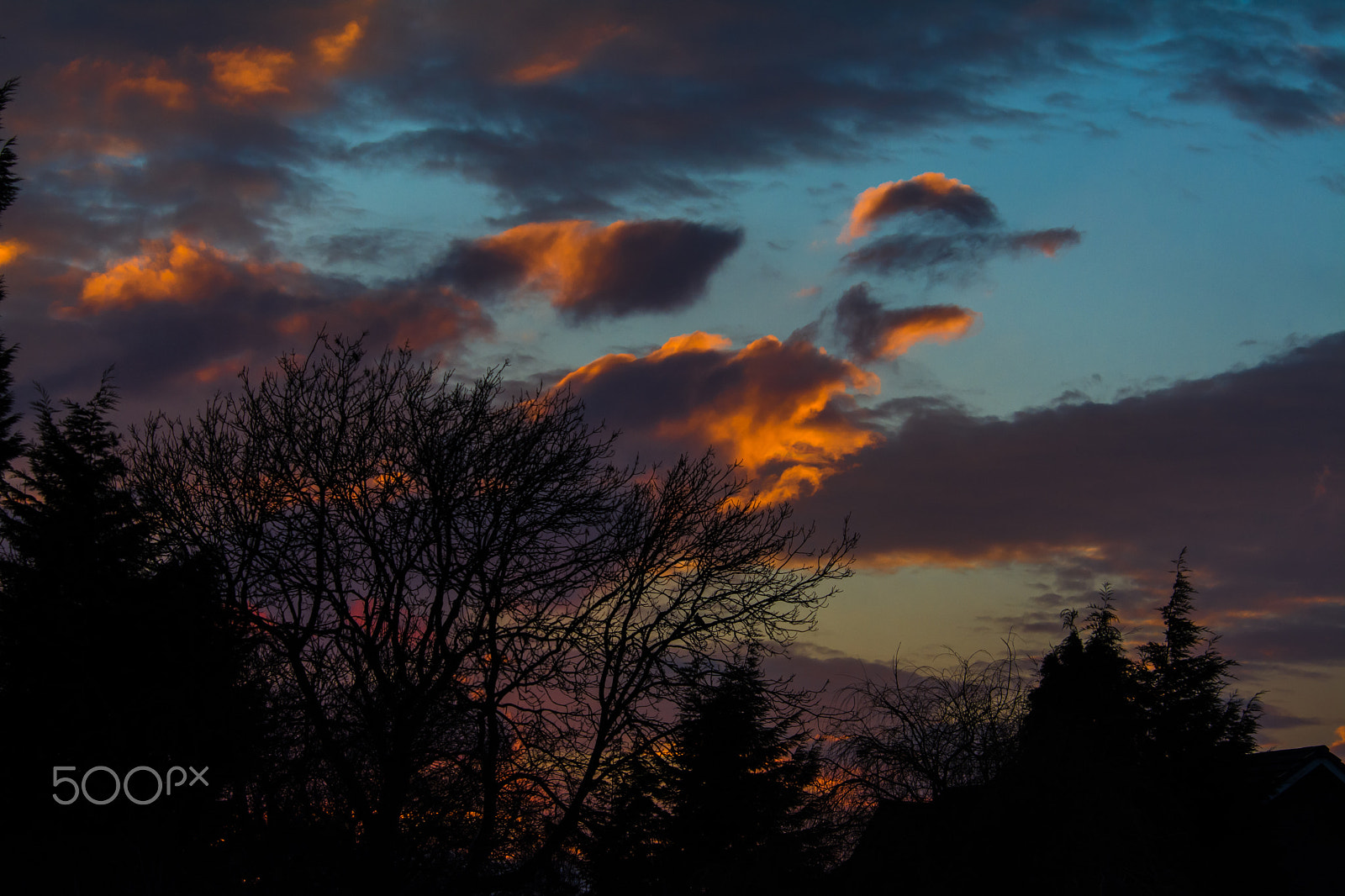 Nikon D7100 sample photo. Winter sunset ii photography