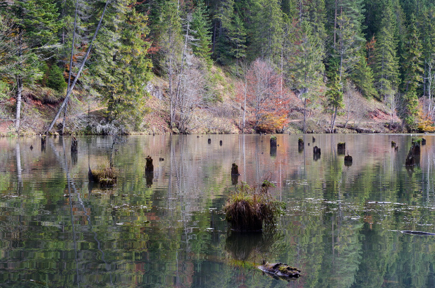 Pentax K-5 sample photo. -the red lake in transylvania- photography