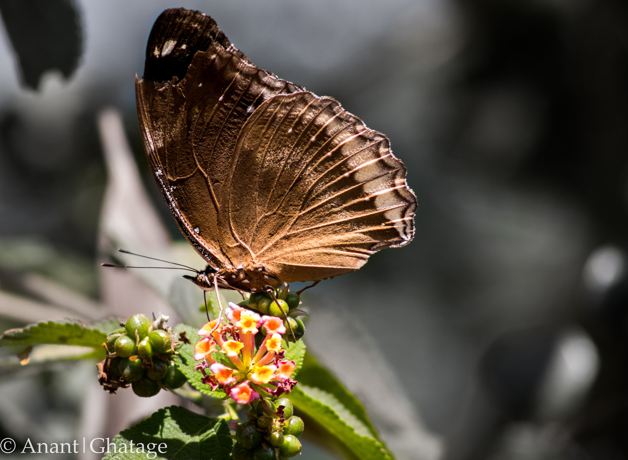 EF75-300mm f/4-5.6 sample photo. My usual weekend getaway... photography