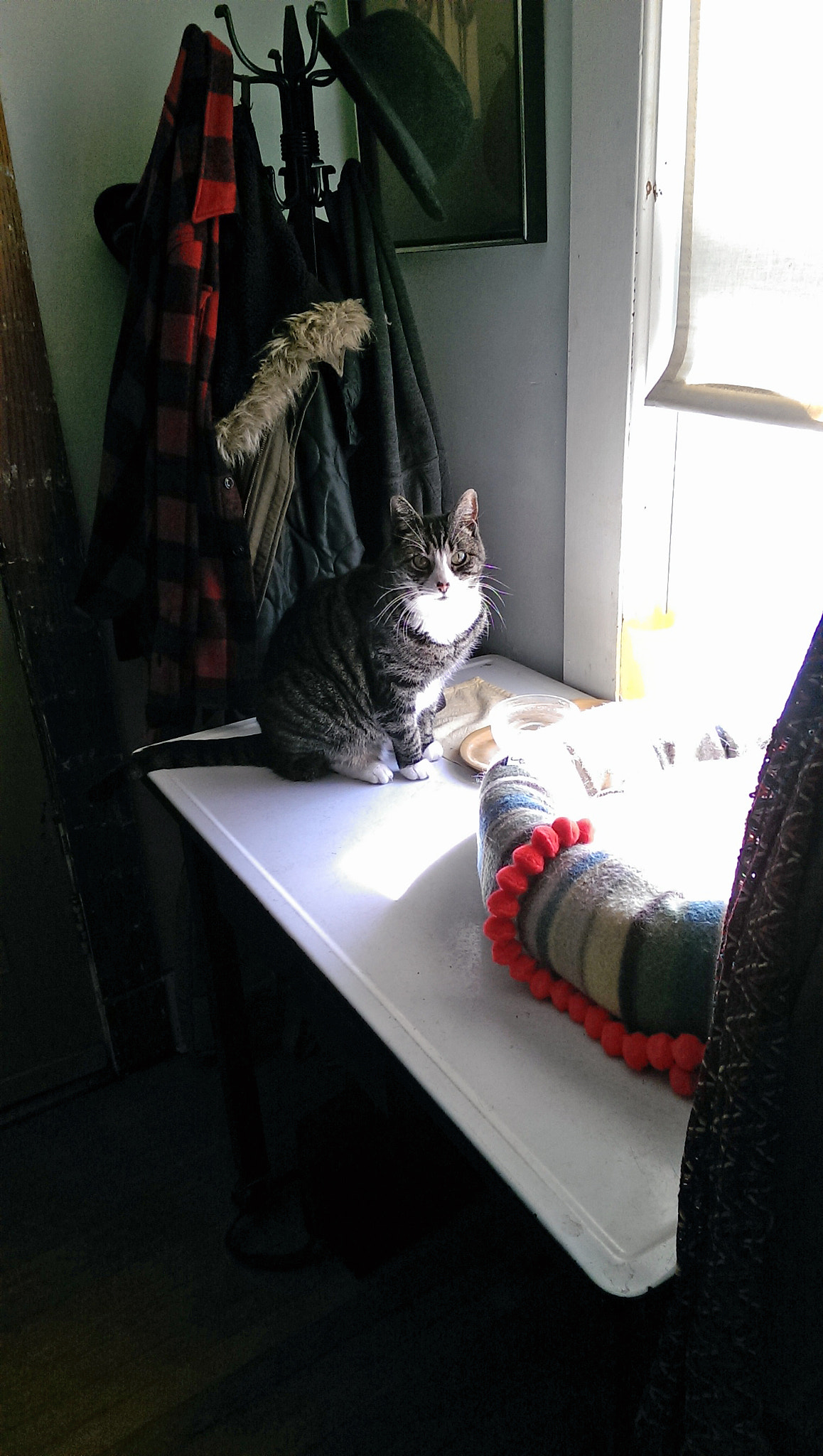 HTC ONE sample photo. Roxy photography