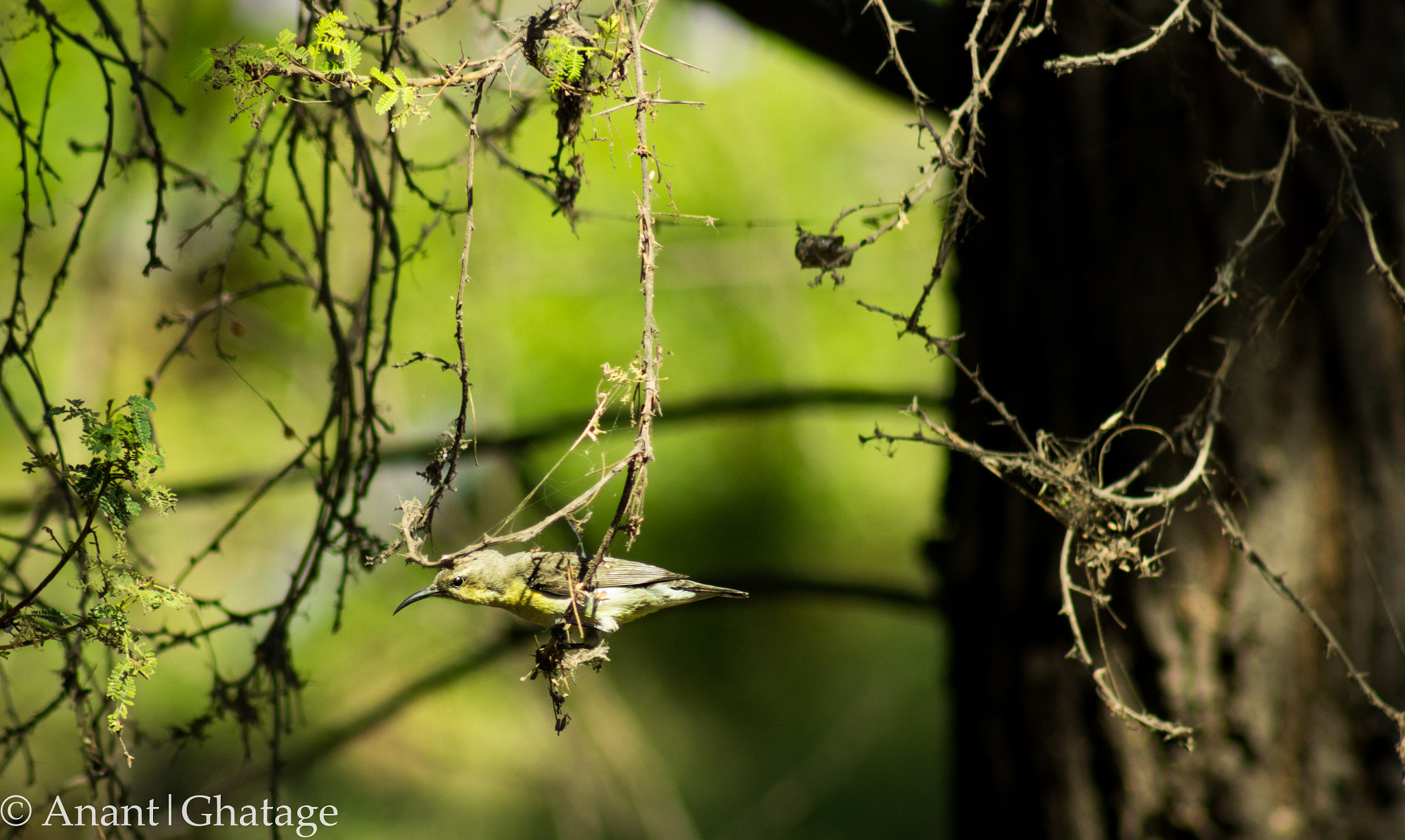EF75-300mm f/4-5.6 sample photo. My usual weekend getaway... photography