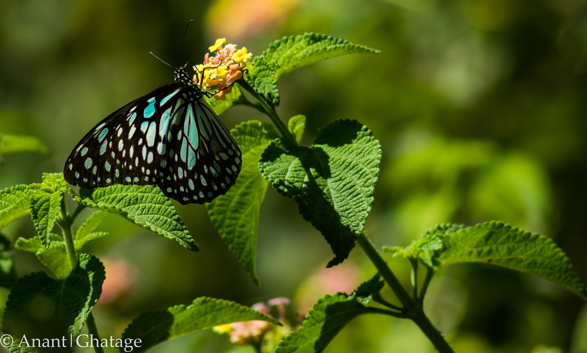 EF75-300mm f/4-5.6 sample photo. My usual weekend getaway... photography