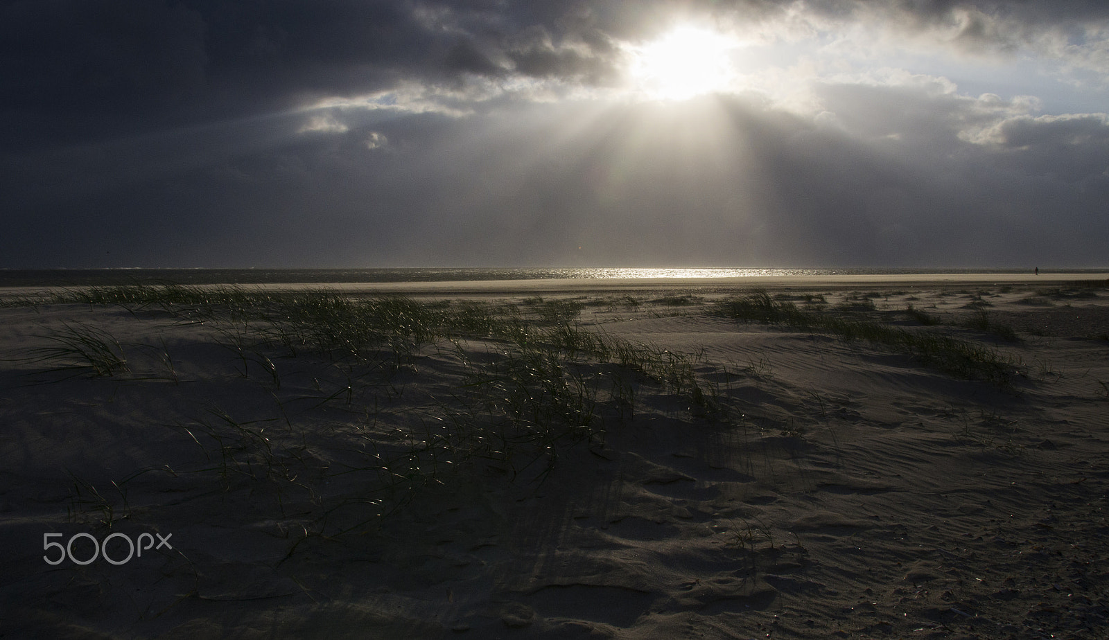 Pentax K-5 sample photo. Sea study photography