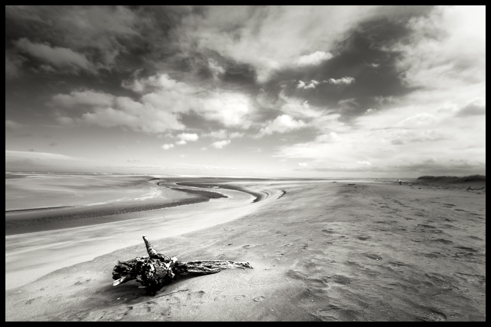 Sigma 10-20mm F3.5 EX DC HSM sample photo. Driftwood photography