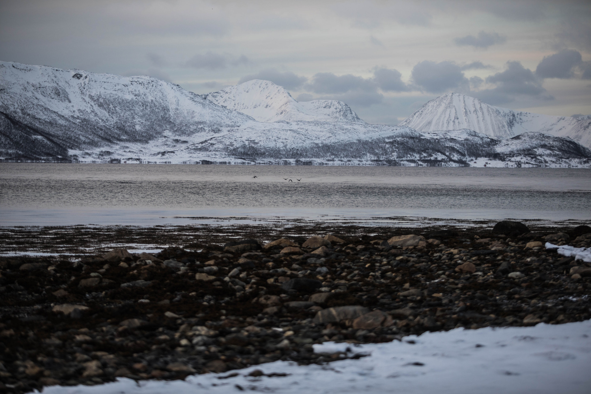 Canon EOS 5D Mark IV sample photo. White fjords photography