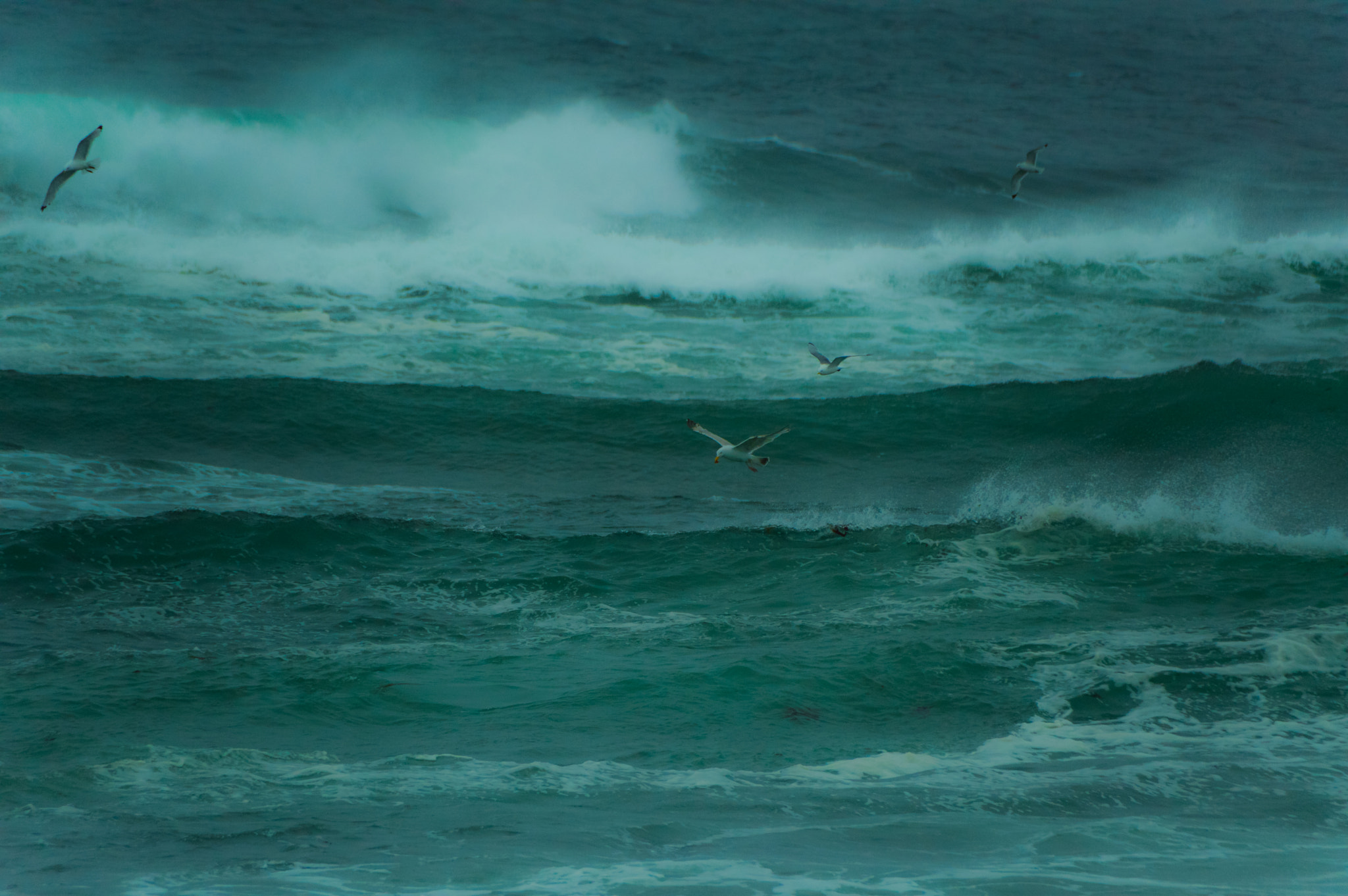 Nikon D3200 sample photo. Storm photography