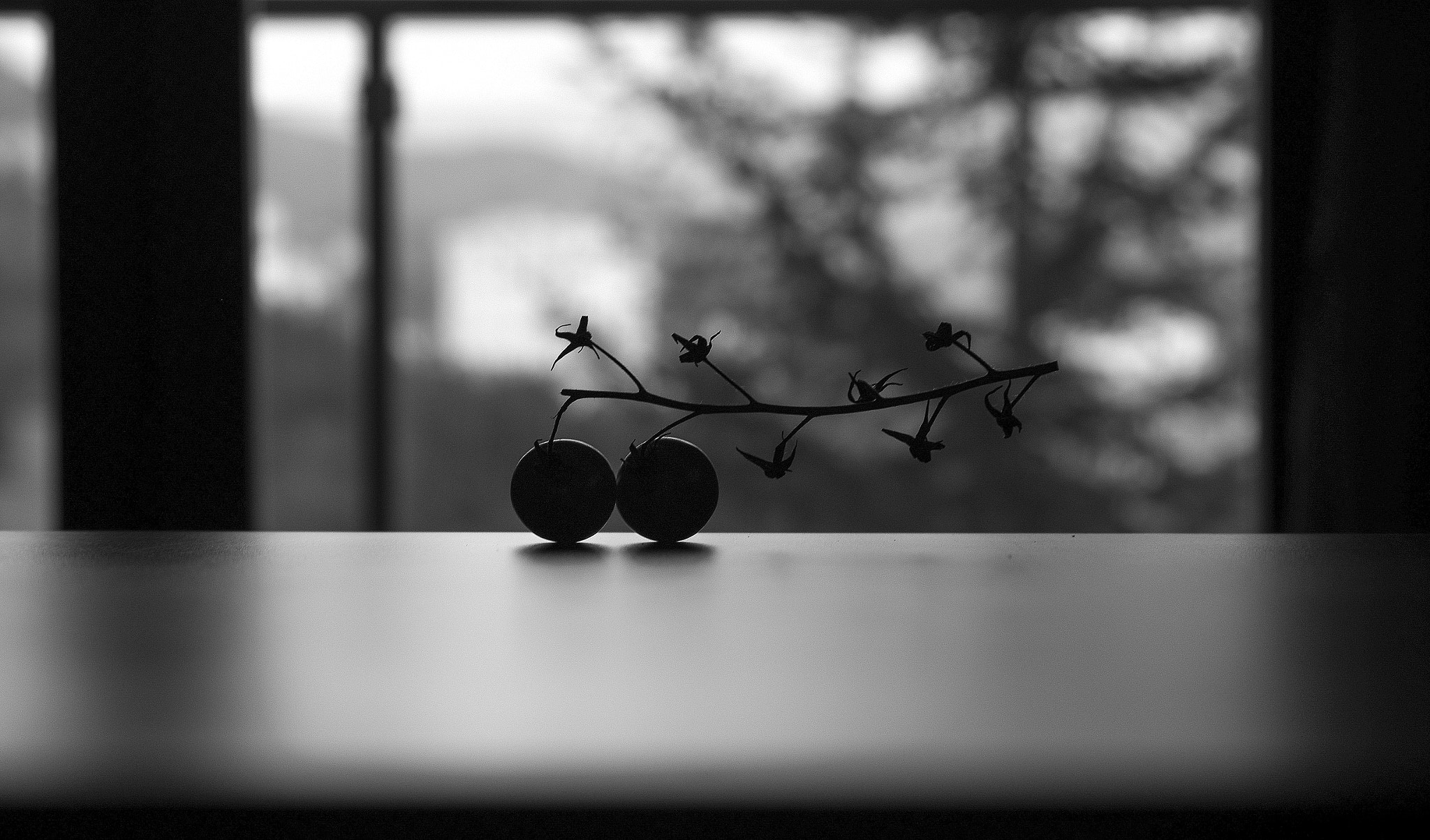 HD Pentax DA 55-300mm F4.0-5.8 ED WR sample photo. Brothers photography