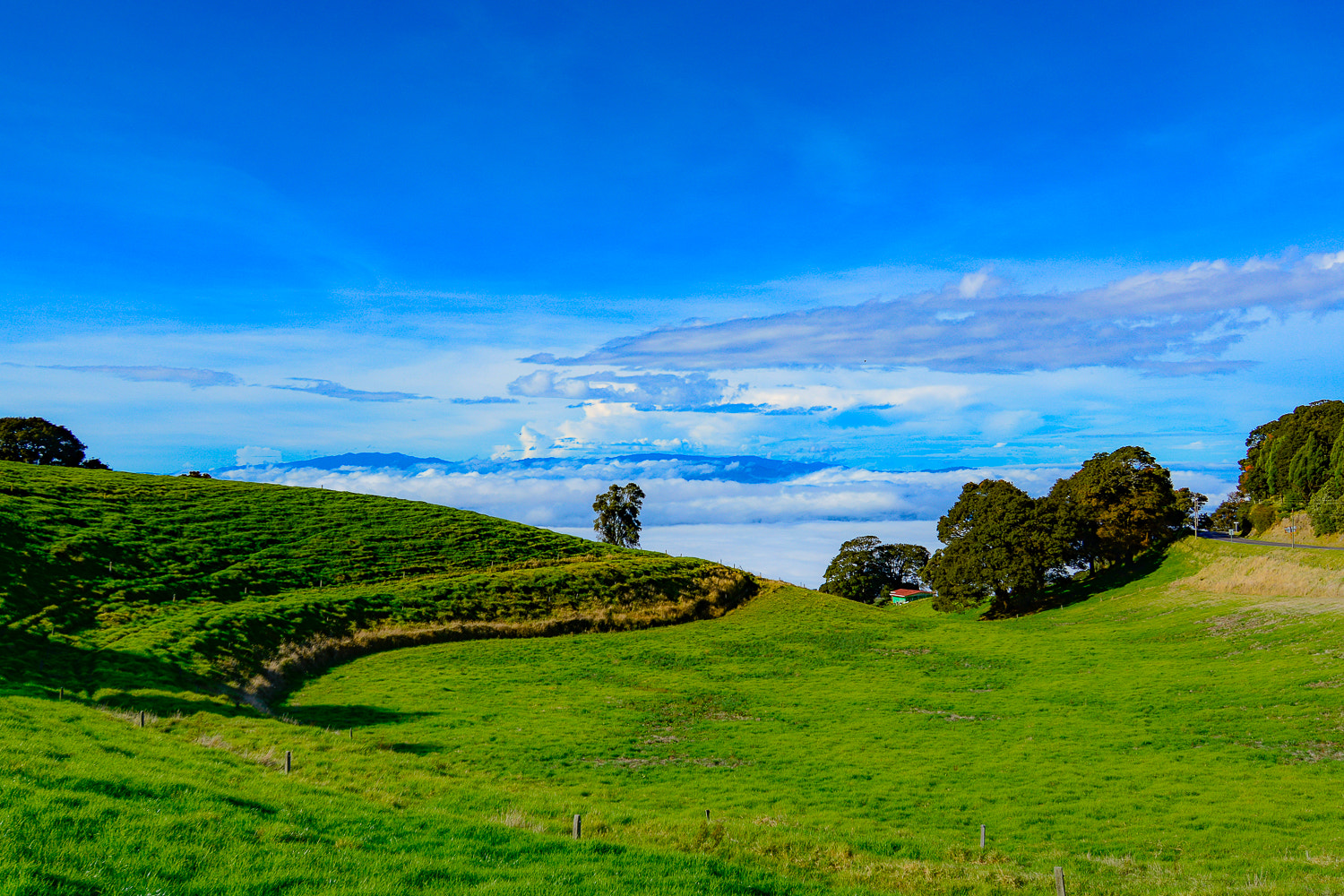 Nikon AF-S Nikkor 18-35mm F3.5-4.5G ED sample photo. Cartago photography