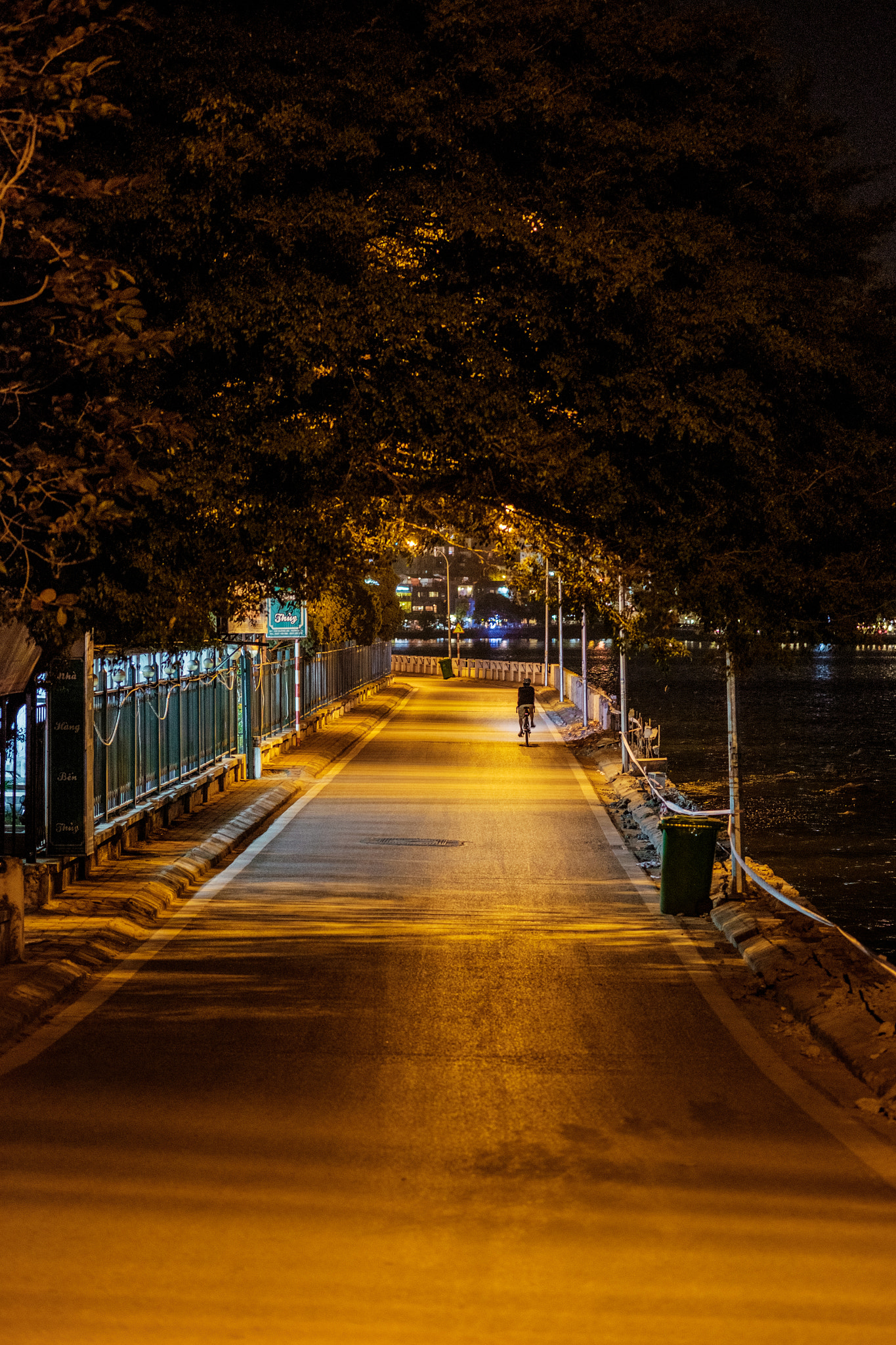 Fujifilm X-T10 + Fujifilm XF 60mm F2.4 R Macro sample photo. Biking at night photography