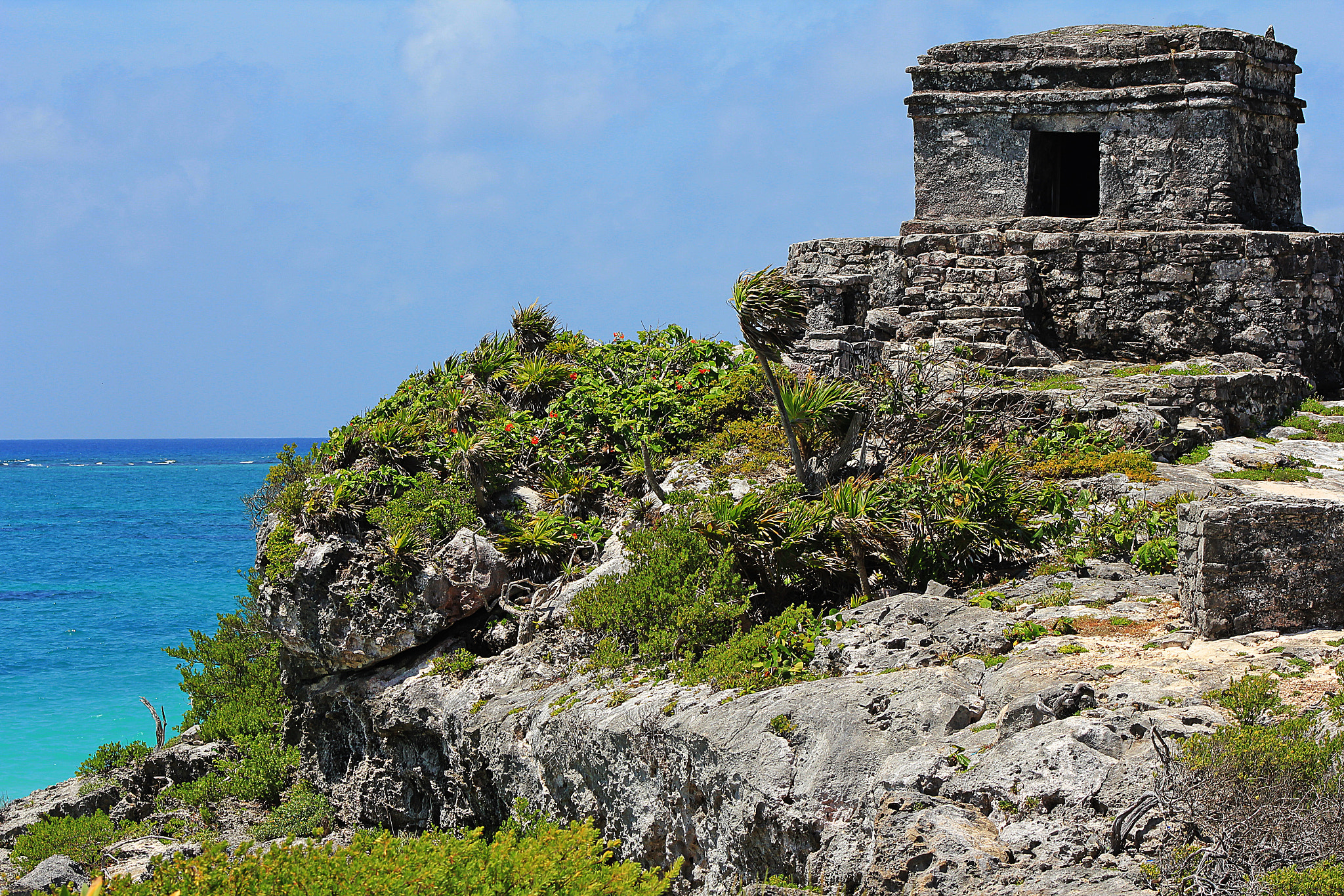 Canon EOS 550D (EOS Rebel T2i / EOS Kiss X4) + EF75-300mm f/4-5.6 sample photo. Mexiko tulum photography