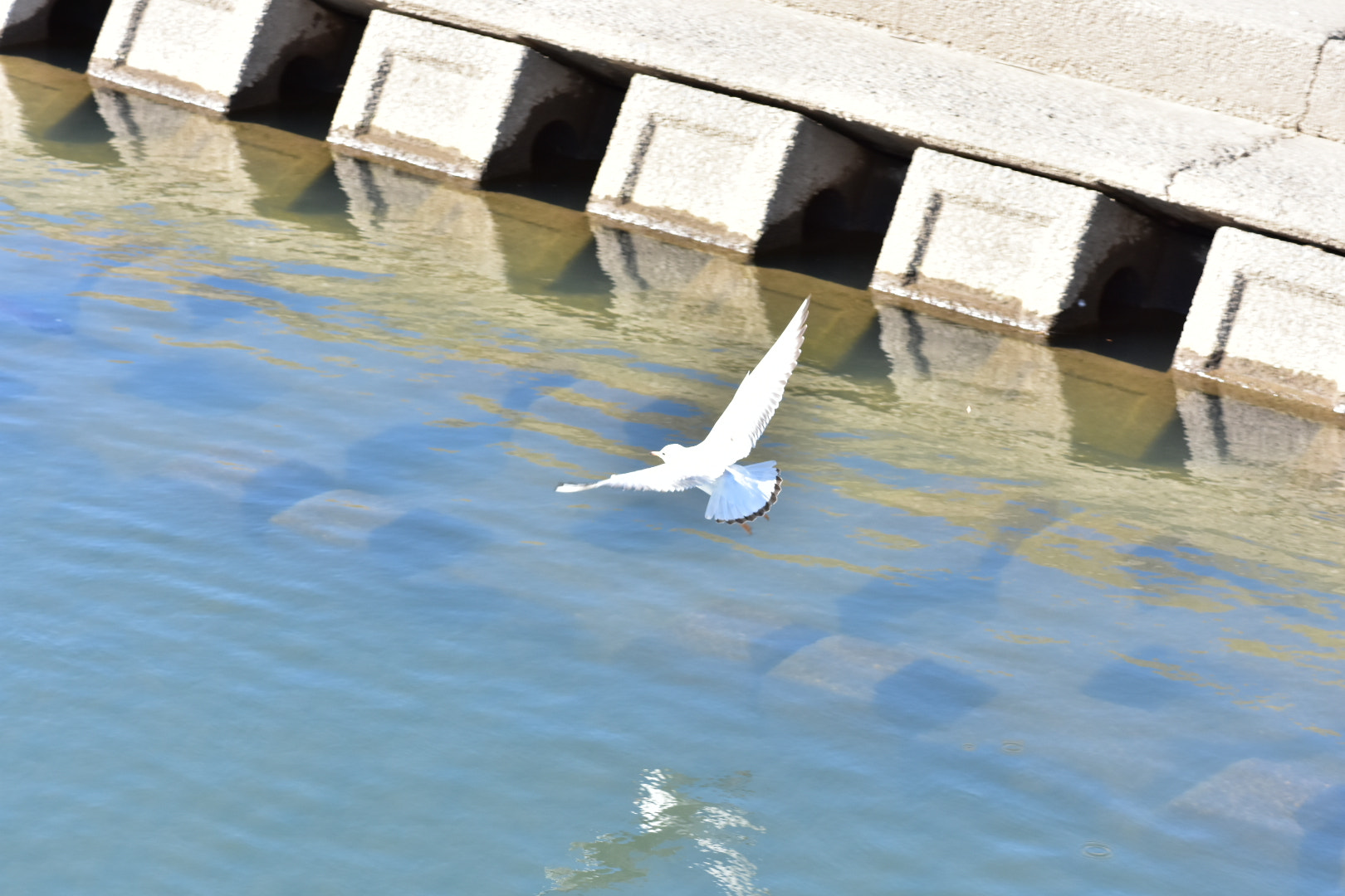 Nikon AF-S DX Micro-Nikkor 85mm F3.5G ED VR sample photo