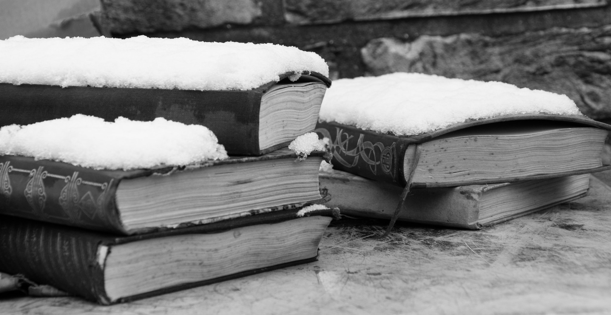 Canon EOS 500D (EOS Rebel T1i / EOS Kiss X3) + Canon TS-E 90mm F2.8 Tilt-Shift sample photo. Abandoned books under the snow photography