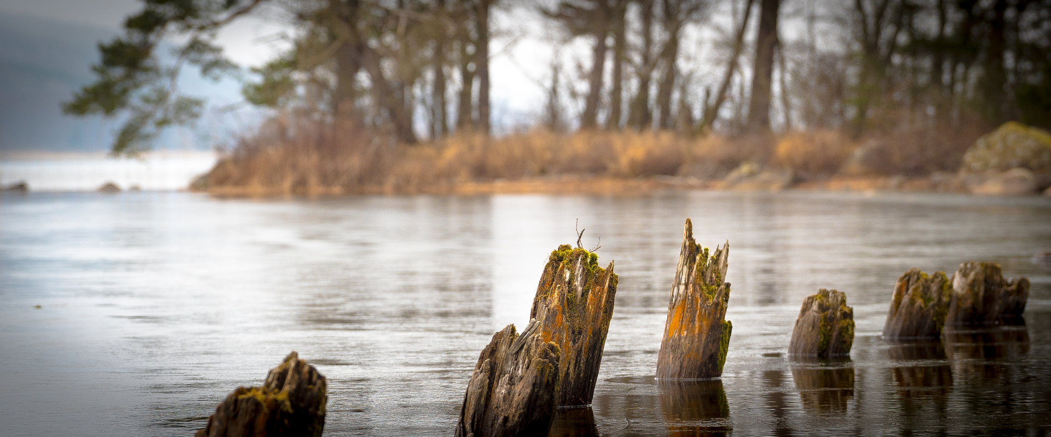 Sony a7S + Sony FE 70-200mm F4 G OSS sample photo. Stumpes photography