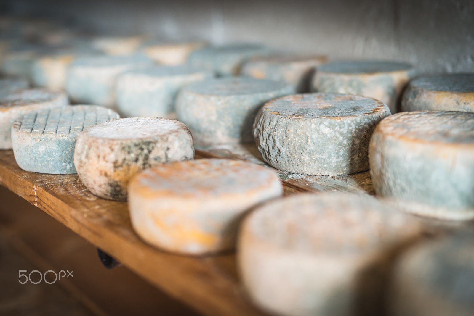 Nikon D800 + Sigma 50mm F1.4 DG HSM Art sample photo. Corsican sheep cheese photography