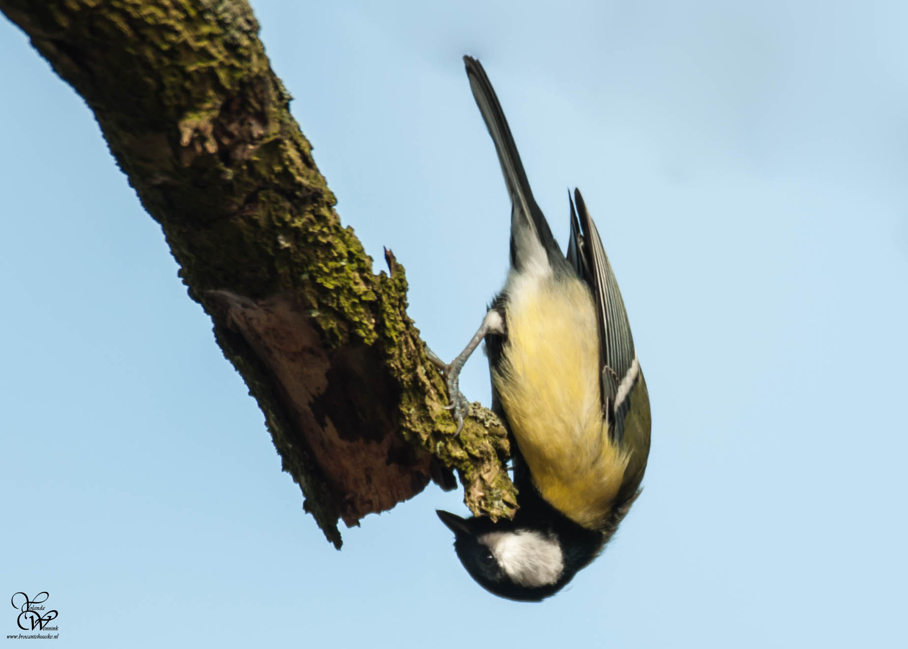 Sigma 150-600mm F5-6.3 DG OS HSM | C sample photo. Hello!!! photography