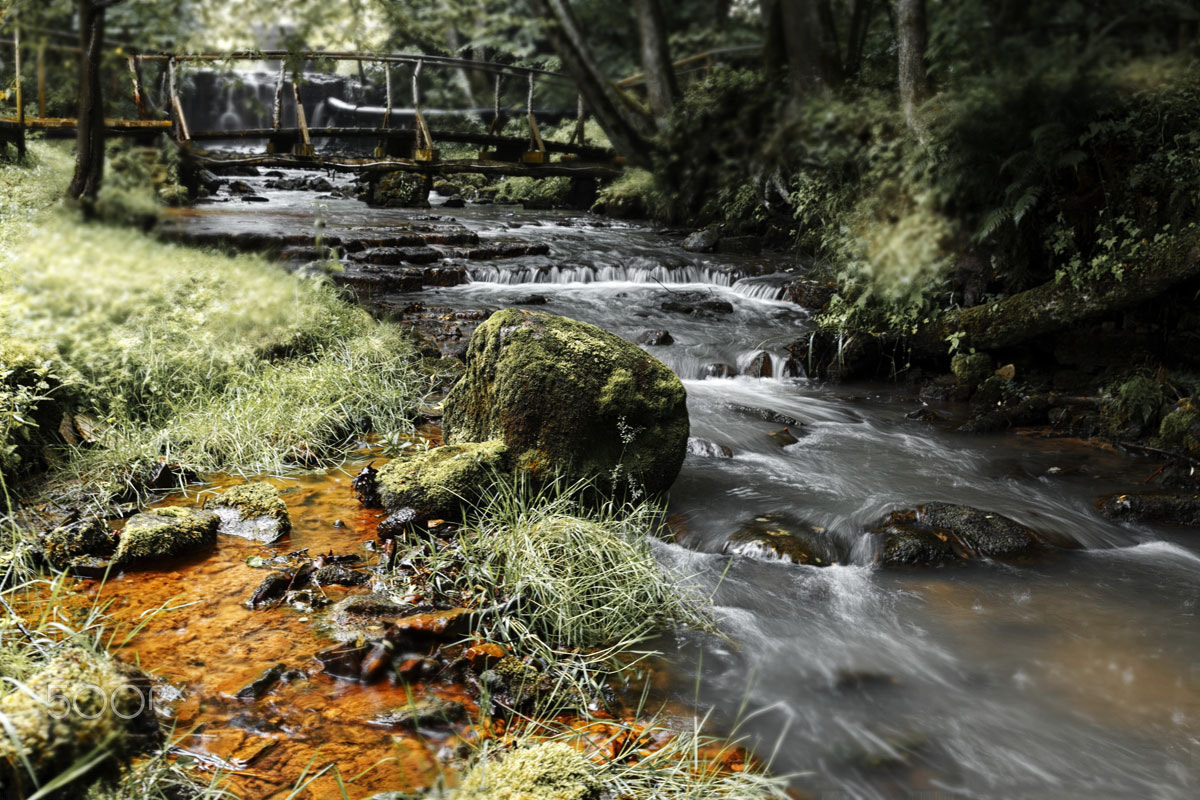 Canon EF 24-70mm F4L IS USM sample photo. Wild stream photography
