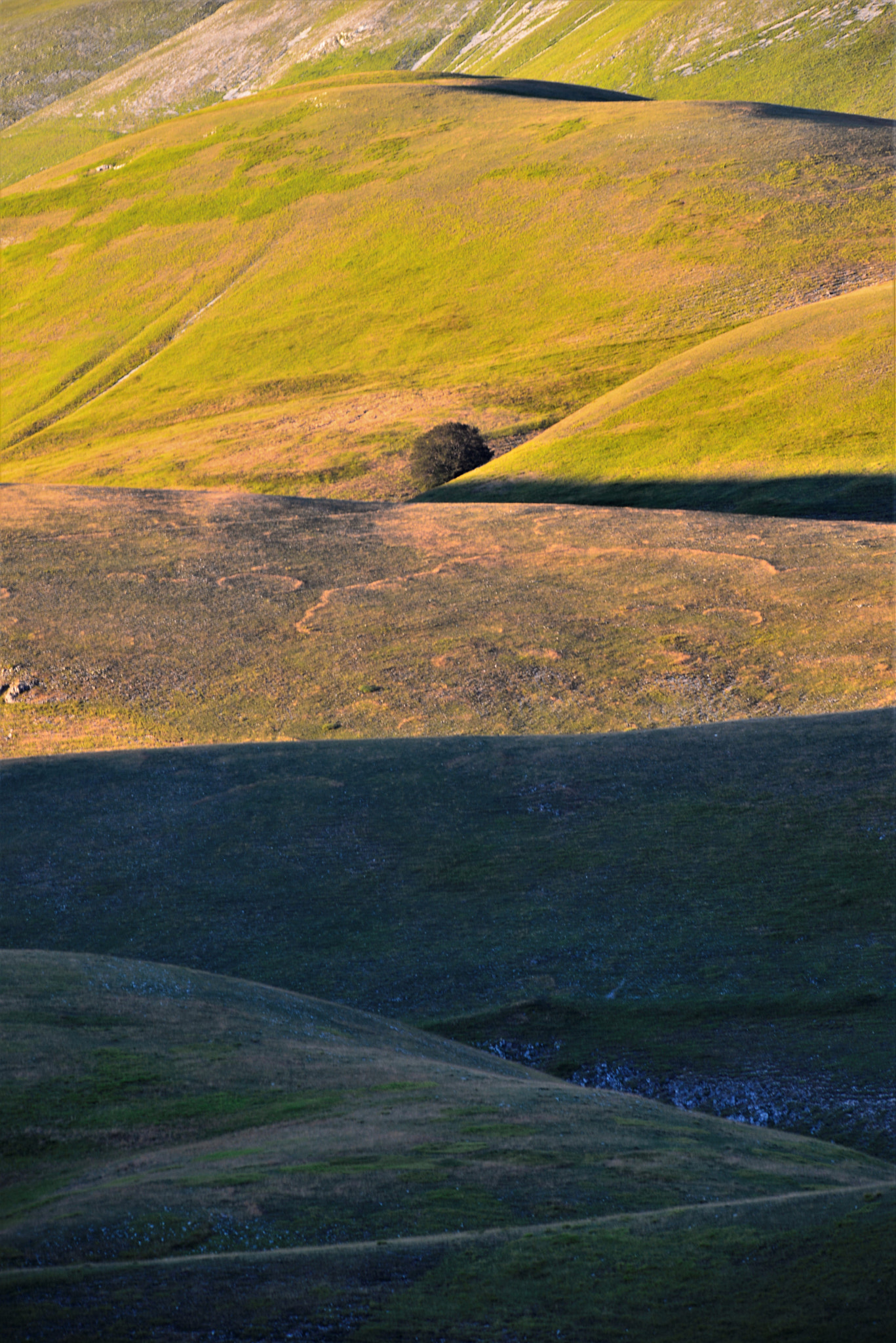 Sigma 150-500mm F5-6.3 DG OS HSM sample photo. Autumn lines photography