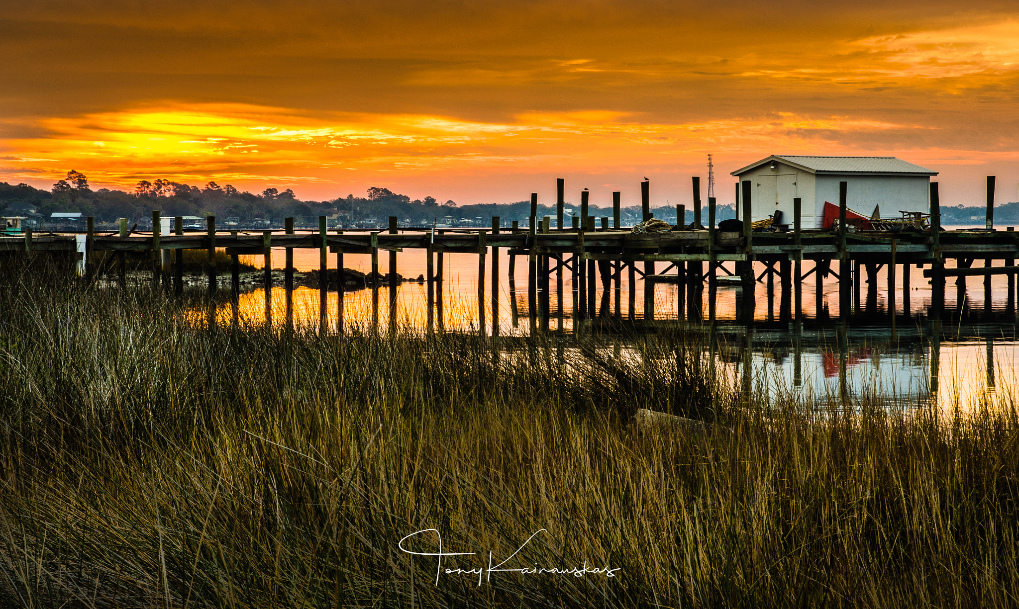 Nikon D7200 sample photo. Little talbot island, florida photography
