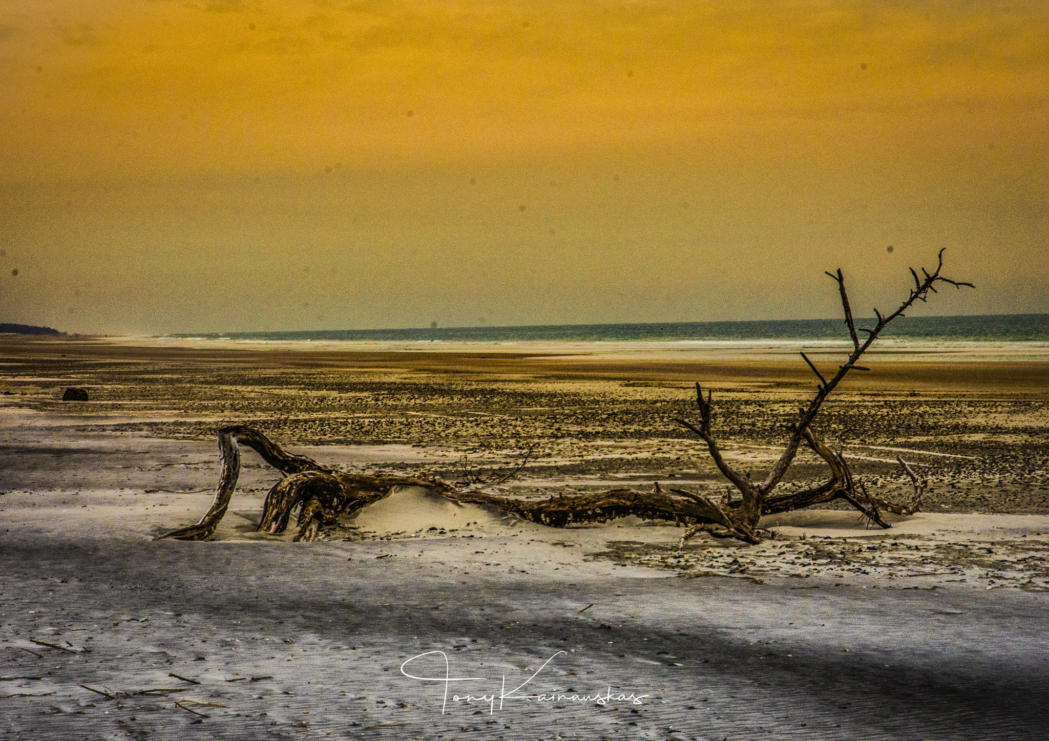 Nikon D7200 sample photo. Little talbot island, florida photography