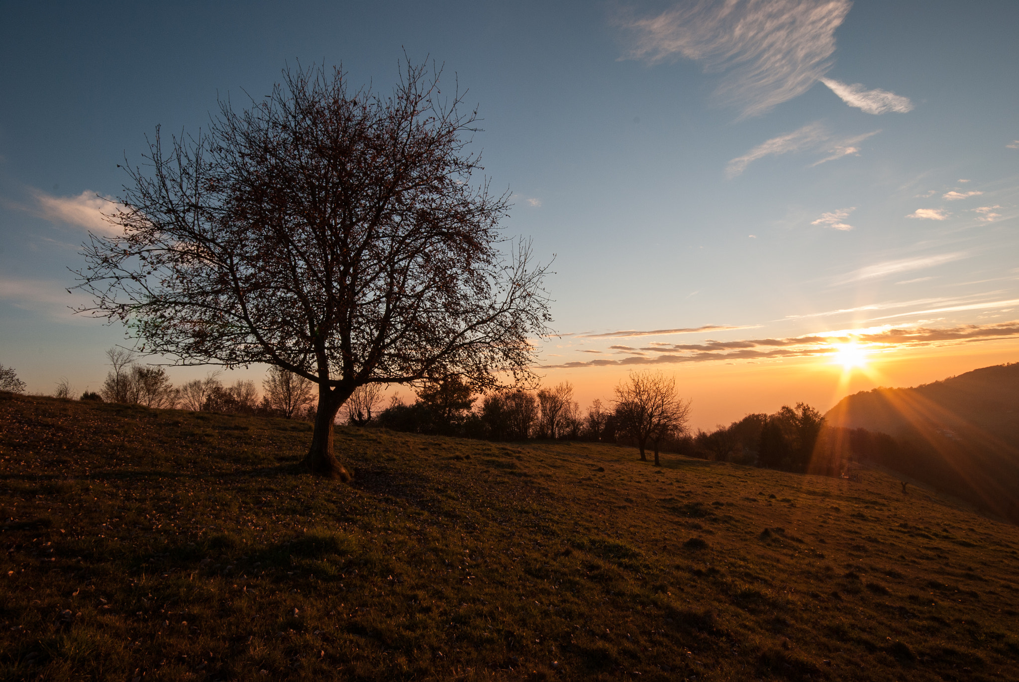 Sigma 10-20mm F4-5.6 EX DC HSM sample photo. 30827074682.jpg photography