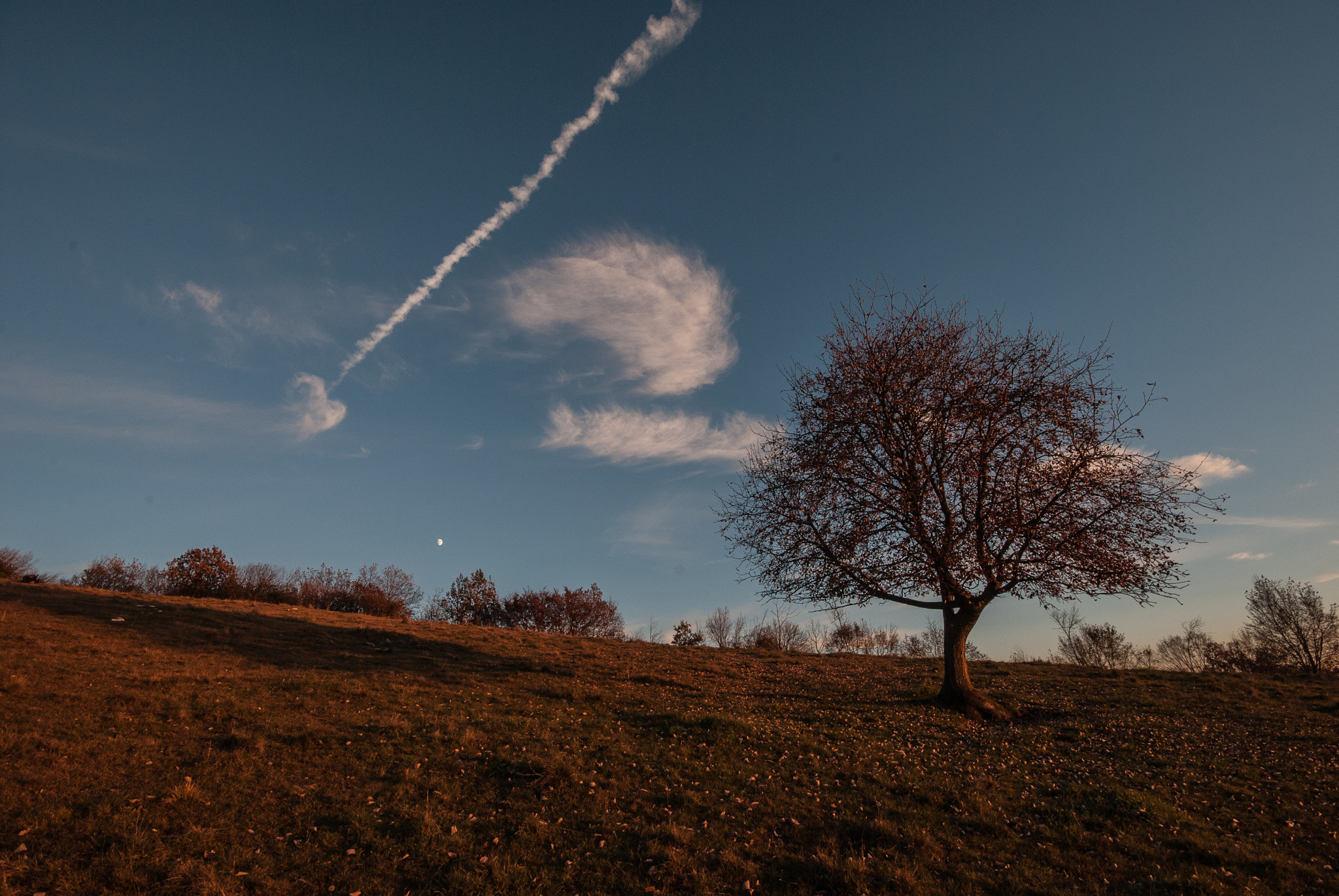 Sigma 10-20mm F4-5.6 EX DC HSM sample photo. 25308052269.jpg photography