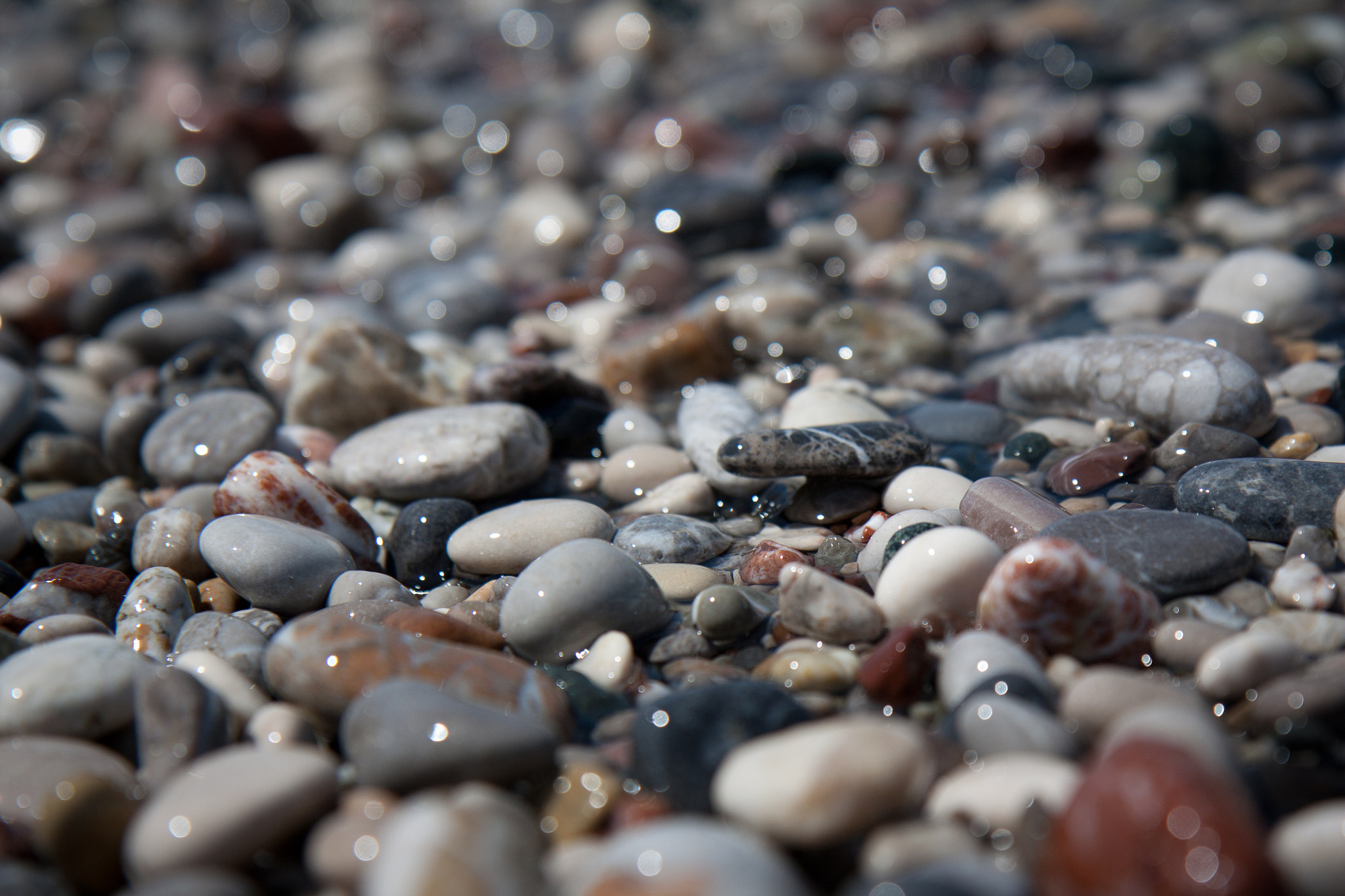 Canon EF-S 17-55mm F2.8 IS USM sample photo. Longing for summer photography