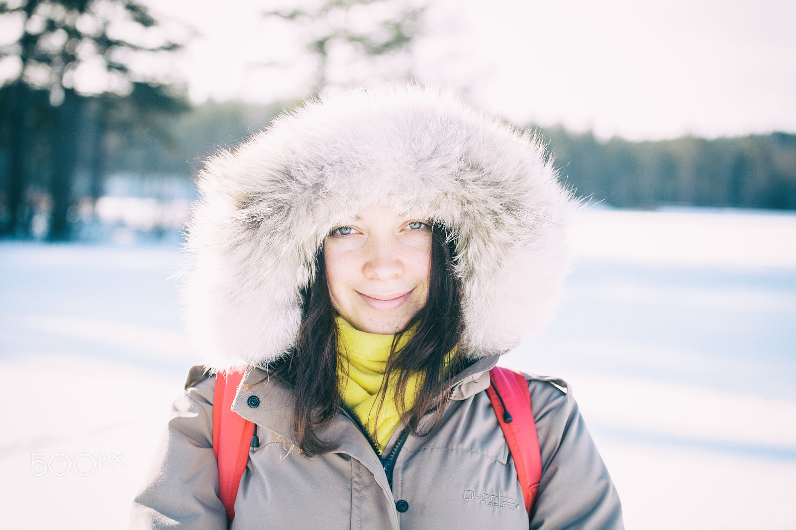 Canon EOS 5D + Canon EF 70-200mm F4L USM sample photo. Eyes of the winter photography