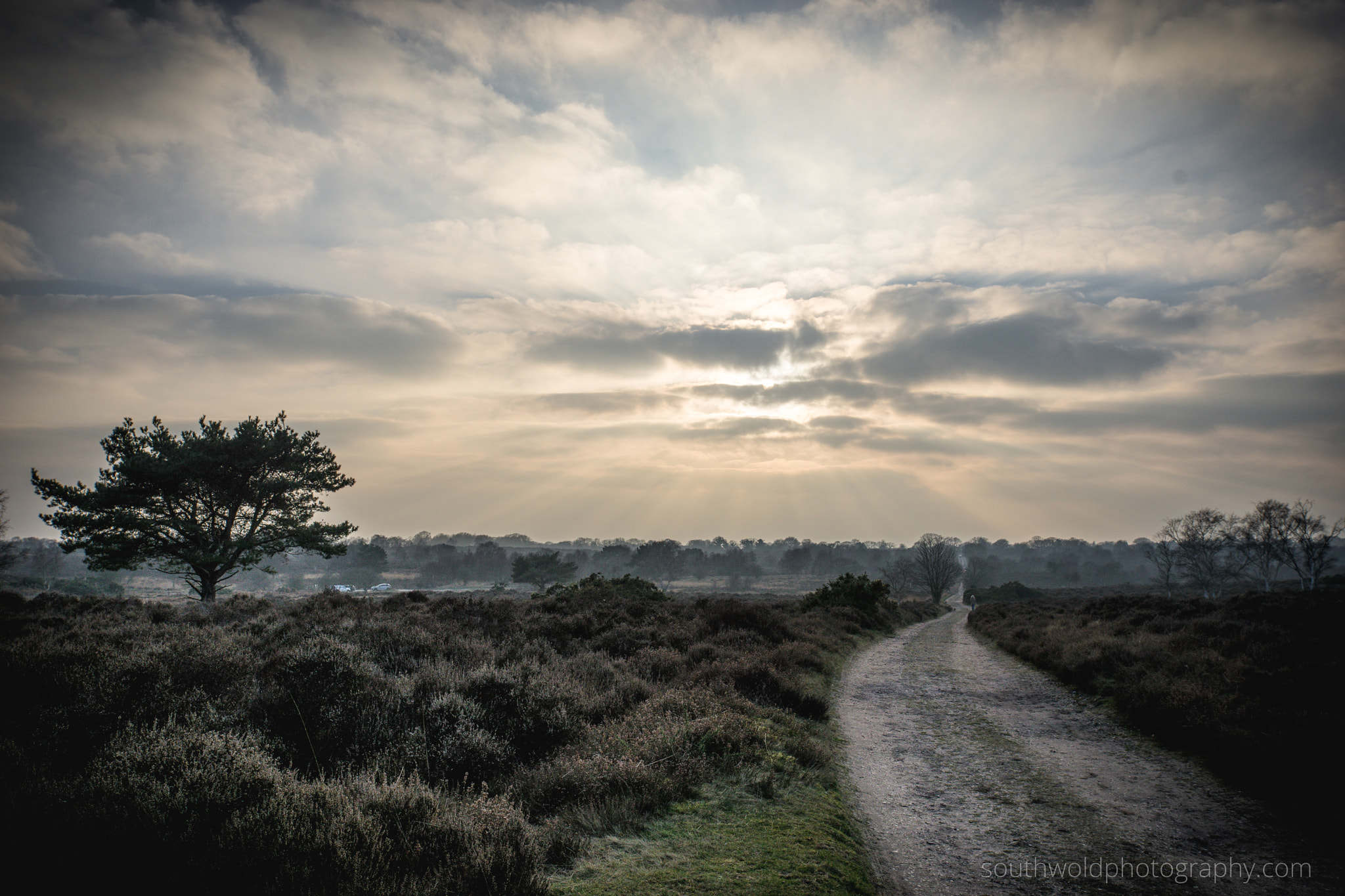 Sony a7 sample photo. Westleton heath photography