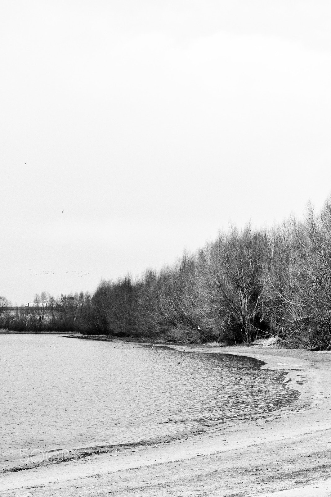 Sony a6300 sample photo. Sandy beach, weerdseweg, wilp, the netherlands photography