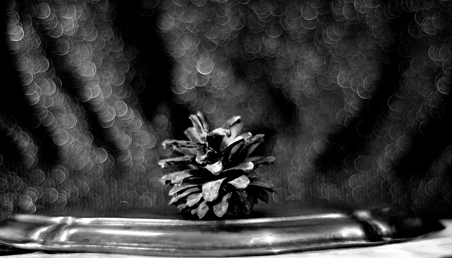 Nikon D5200 + Nikon AF Nikkor 50mm F1.8D sample photo. Cone. photography